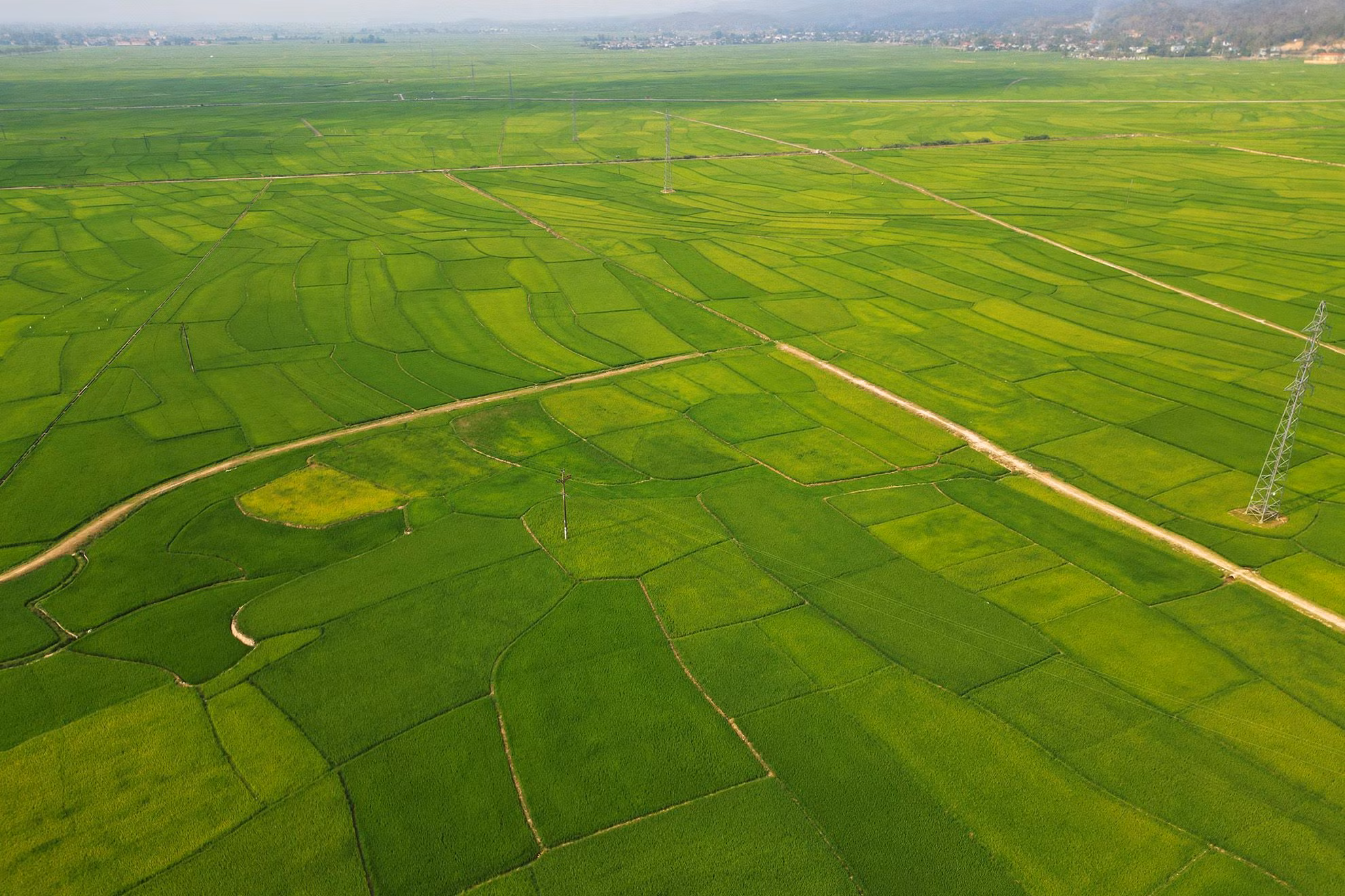 Từ khi có hồ chứa nước Loọng Luông, những hạn chế trong sản xuất đã được khắc phục. Không chỉ có 5 bản người Mông, hồ Loọng Luông còn cung cấp nước cho gần như toàn bộ 20 bản của xã Mường Phăng. Đủ nước sản xuất, diện tích đất lúa hai vụ của xã liên tục tăng.