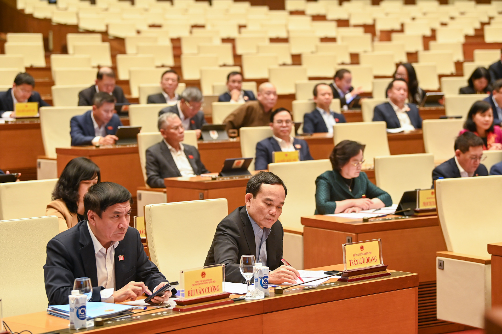 Phó Thủ tướng Chính phủ Trần Lưu Quang và các đại biểu dự phiên họp.