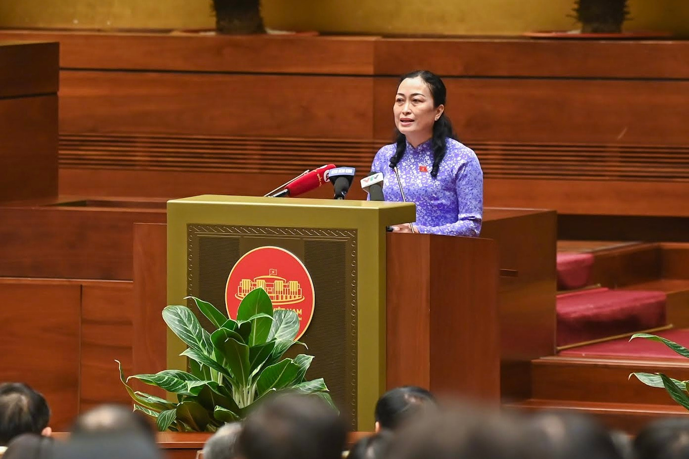 Phó Chủ tịch Hội đồng Dân tộc Trần Thị Hoa Ry phát biểu cảm nhận về cuốn sách.