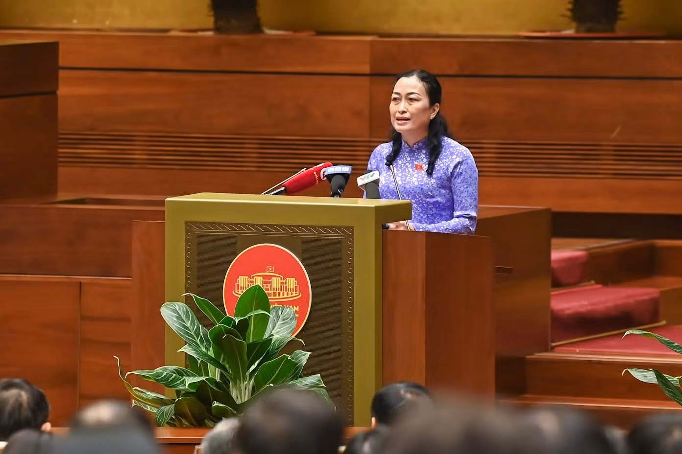 Phó Chủ tịch Hội đồng Dân tộc Trần Thị Hoa Ry phát biểu cảm nhận về cuốn sách.