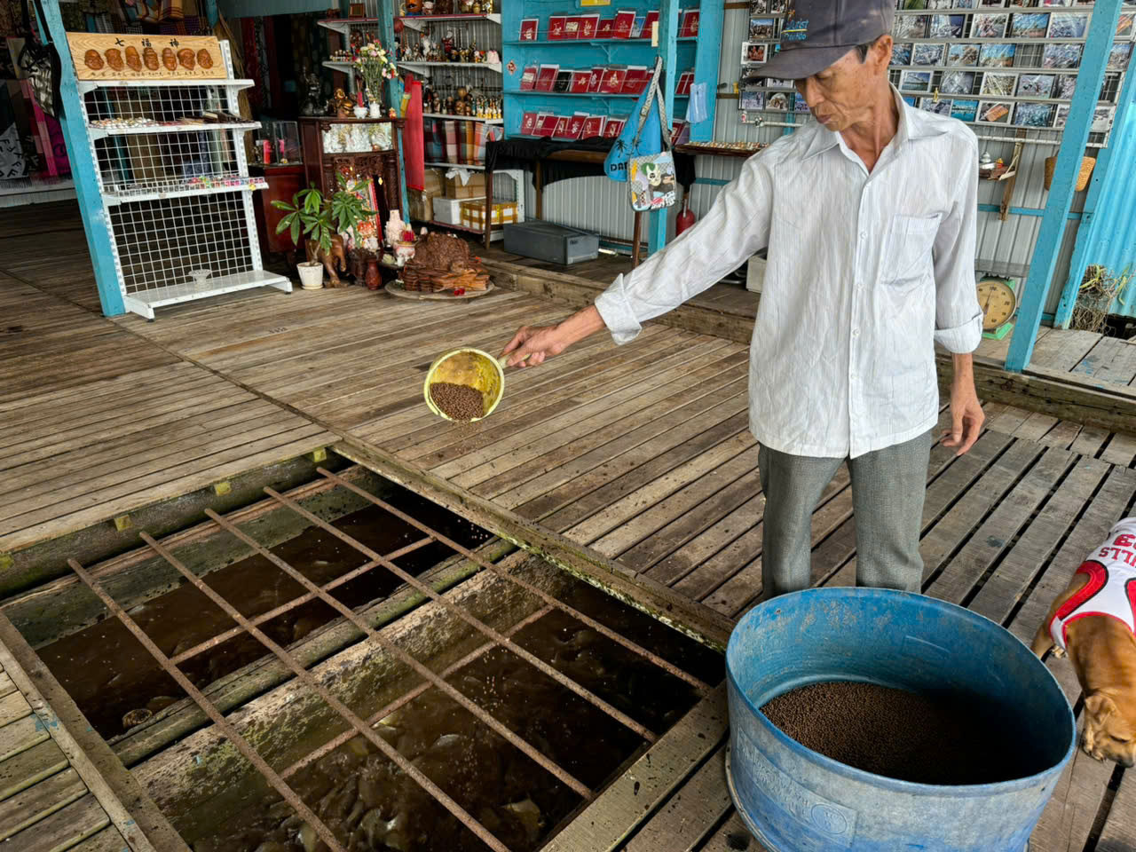 Ông Lý Minh Tài, 57 tuổi, người có nhiều năm kinh nghiệm trong nghề nuôi cá lồng bè. (Ảnh: Đinh Quang Hưng)