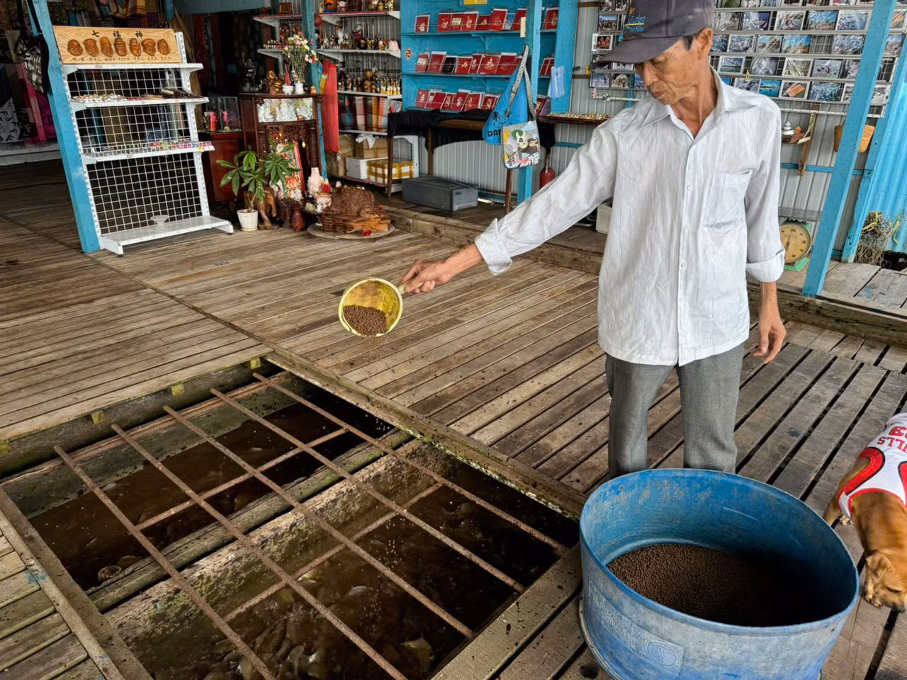 Ông Lý Minh Tài, 57 tuổi, người có nhiều năm kinh nghiệm trong nghề nuôi cá lồng bè. (Ảnh: Đinh Quang Hưng)
