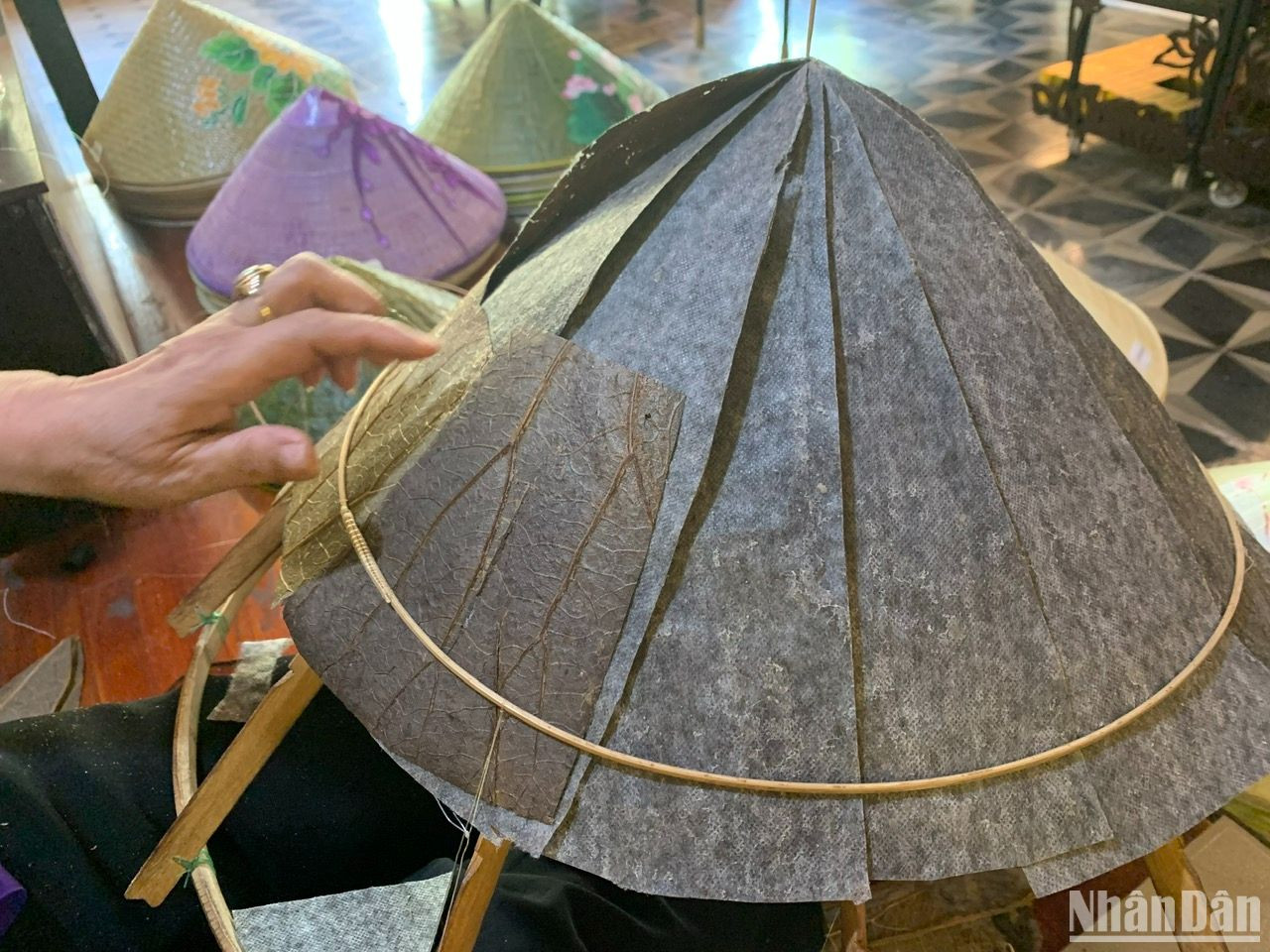 Lá sen sau khi thu hoạch phải được đưa vào sơ chế ngay mới bảo đảm được độ dày và đẹp. Lá sen sau khi thu hoạch phải được đưa vào sơ chế ngay mới bảo đảm được độ dày và đẹp.