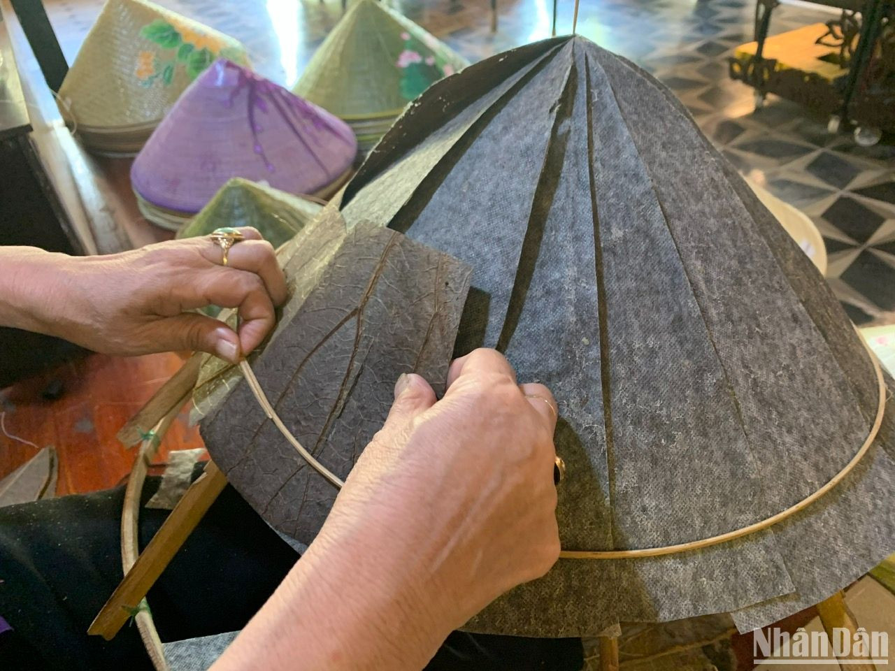 Theo anh Đằng, giống sen trồng lấy lá làm nón cũng có rất nhiều loại. Người trồng sen phải lựa chọn những giống cây cho lá vừa to vừa dày thì làm nón lá mới đẹp. Theo anh Đằng, giống sen trồng lấy lá làm nón cũng có rất nhiều loại. Người trồng sen phải lựa chọn những giống cây cho lá vừa to vừa dày thì làm nón lá mới đẹp.