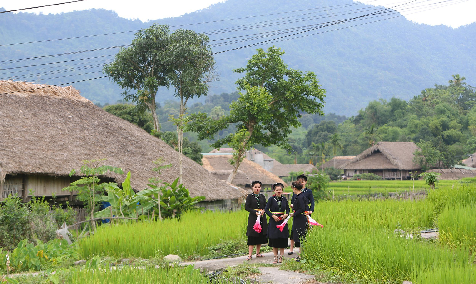Phụ nữ Tày. (Ảnh: Thành Đạt)