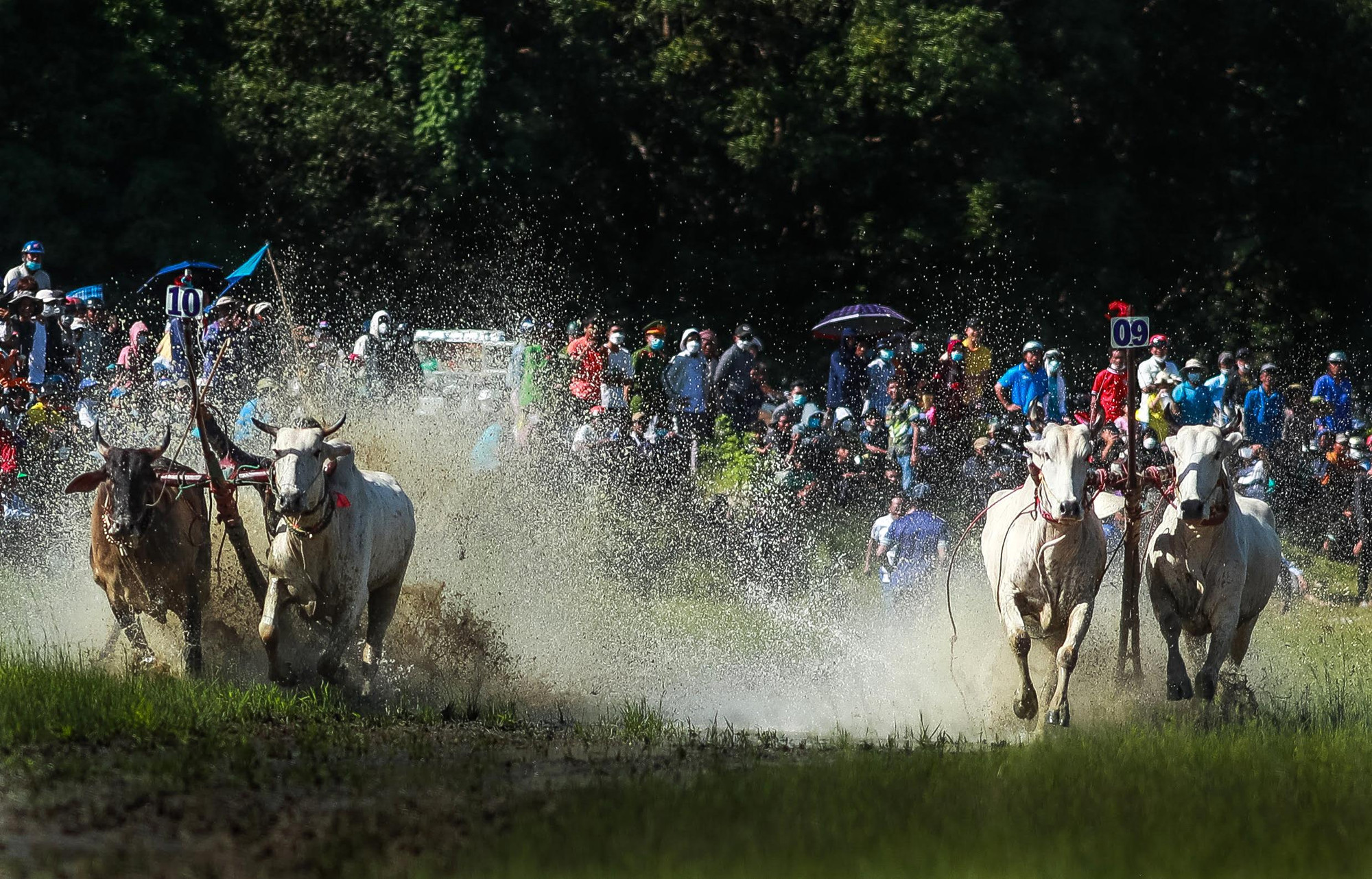 (Ảnh: Thành Đạt) (Ảnh: Thành Đạt)