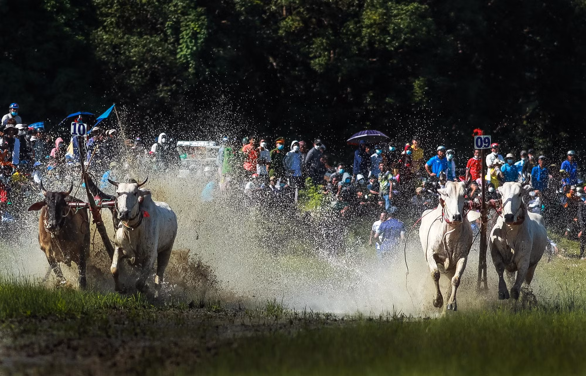 (Ảnh: Thành Đạt)