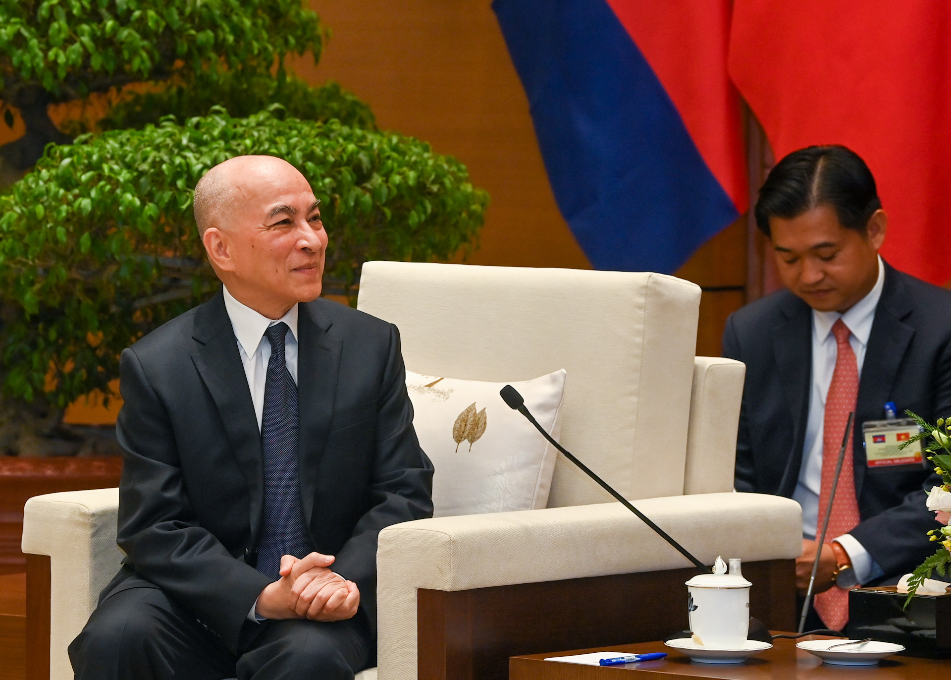 Quốc vương Campuchia Norodom Sihamoni phát biểu tại buổi tiếp kiến.