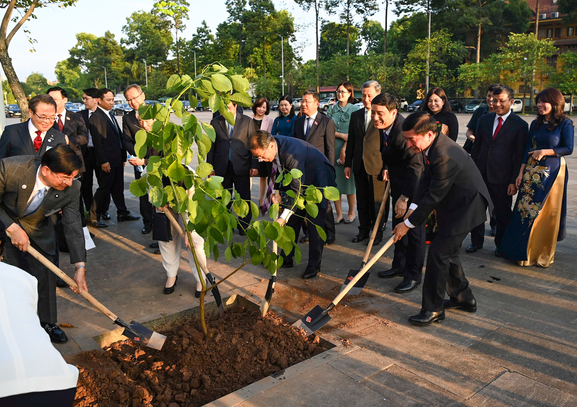 Đại biểu hai nước thực hiện nghi thức trồng cây Osaka đỏ. Đại biểu hai nước thực hiện nghi thức trồng cây Osaka đỏ.