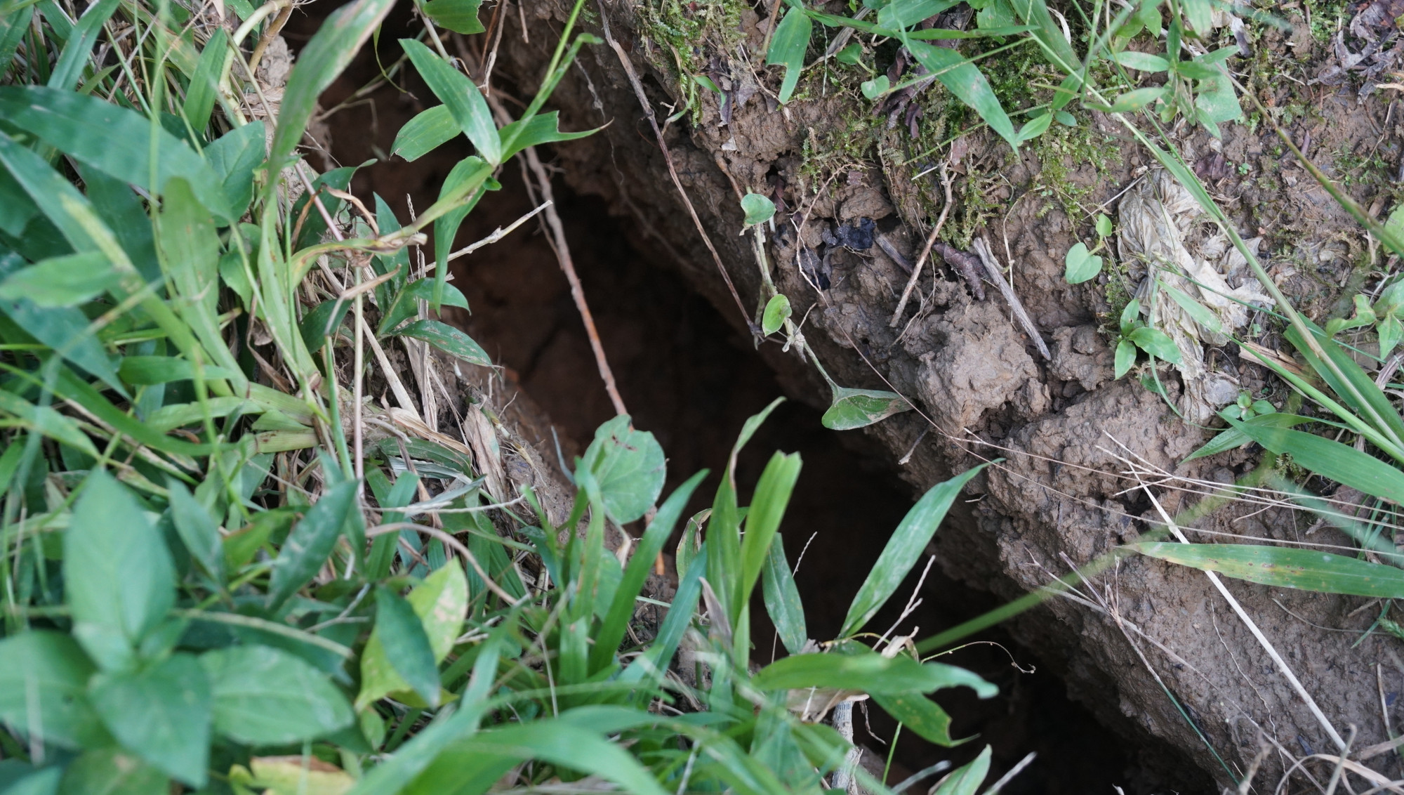 Vết nứt sâu 50cm, dài hàng chục mét.