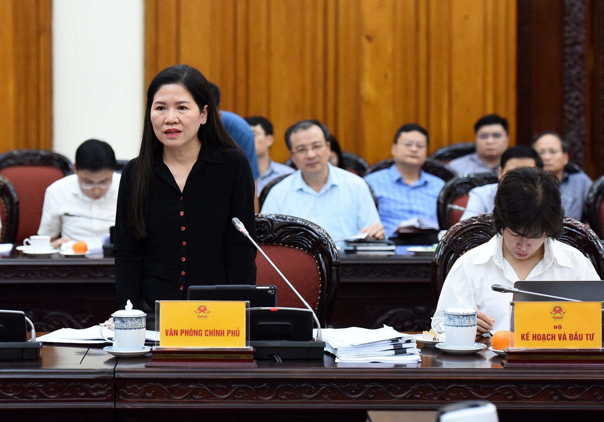 Phó Chủ nhiệm Văn phòng Chính phủ Mai Thị Thu Vân phát biểu tại cuộc họp. Phó Chủ nhiệm Văn phòng Chính phủ Mai Thị Thu Vân phát biểu tại cuộc họp.