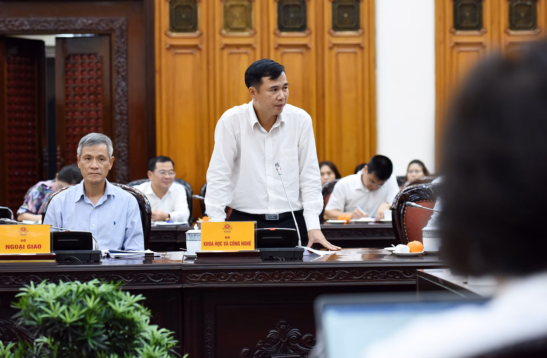 Thứ trưởng Khoa học và Công nghệ Bùi Thế Duy phát biểu tại cuộc họp.
