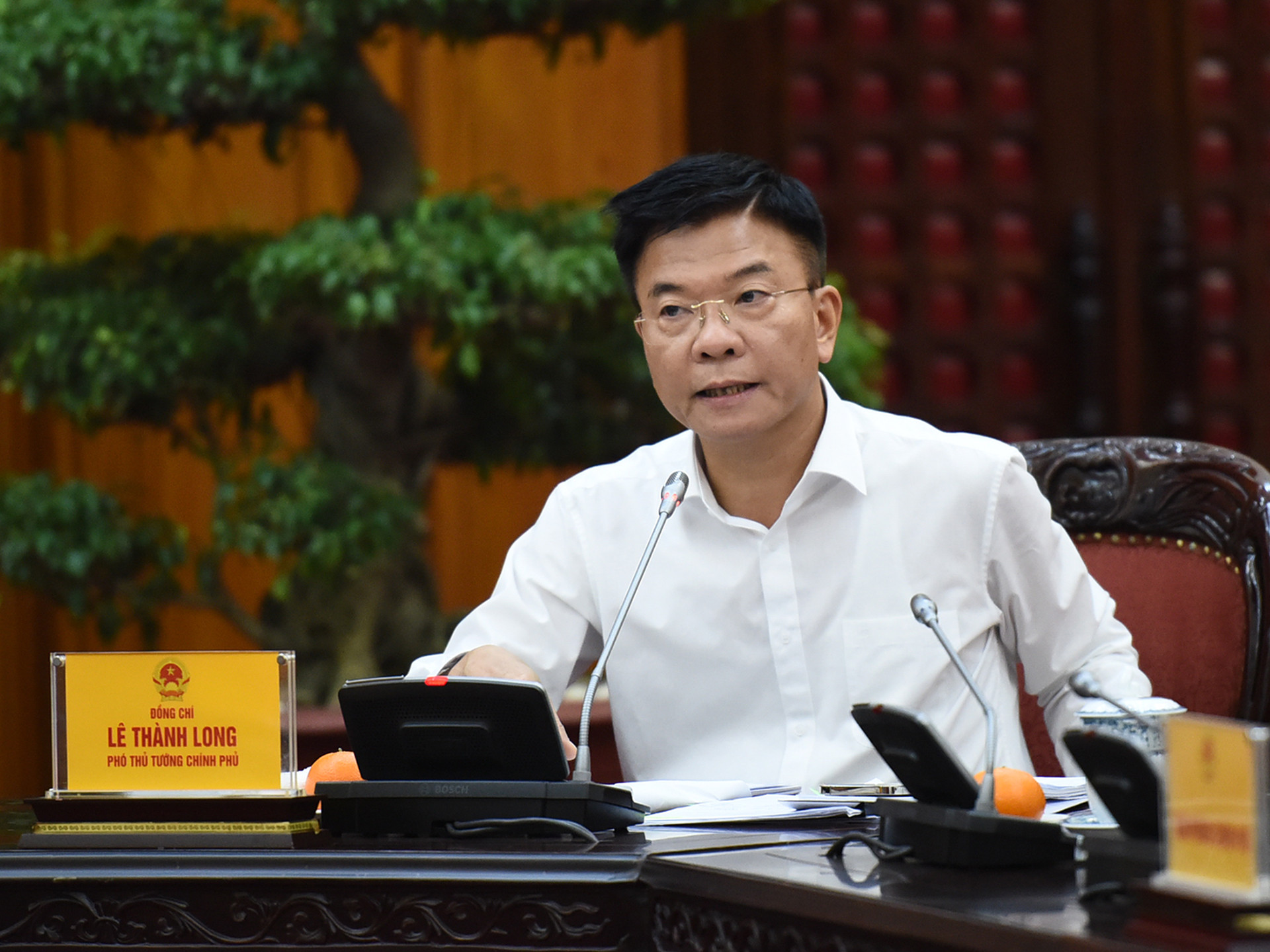 Phó Thủ tướng Lê Thành Long phát biểu tại cuộc họp. Phó Thủ tướng Lê Thành Long phát biểu tại cuộc họp.