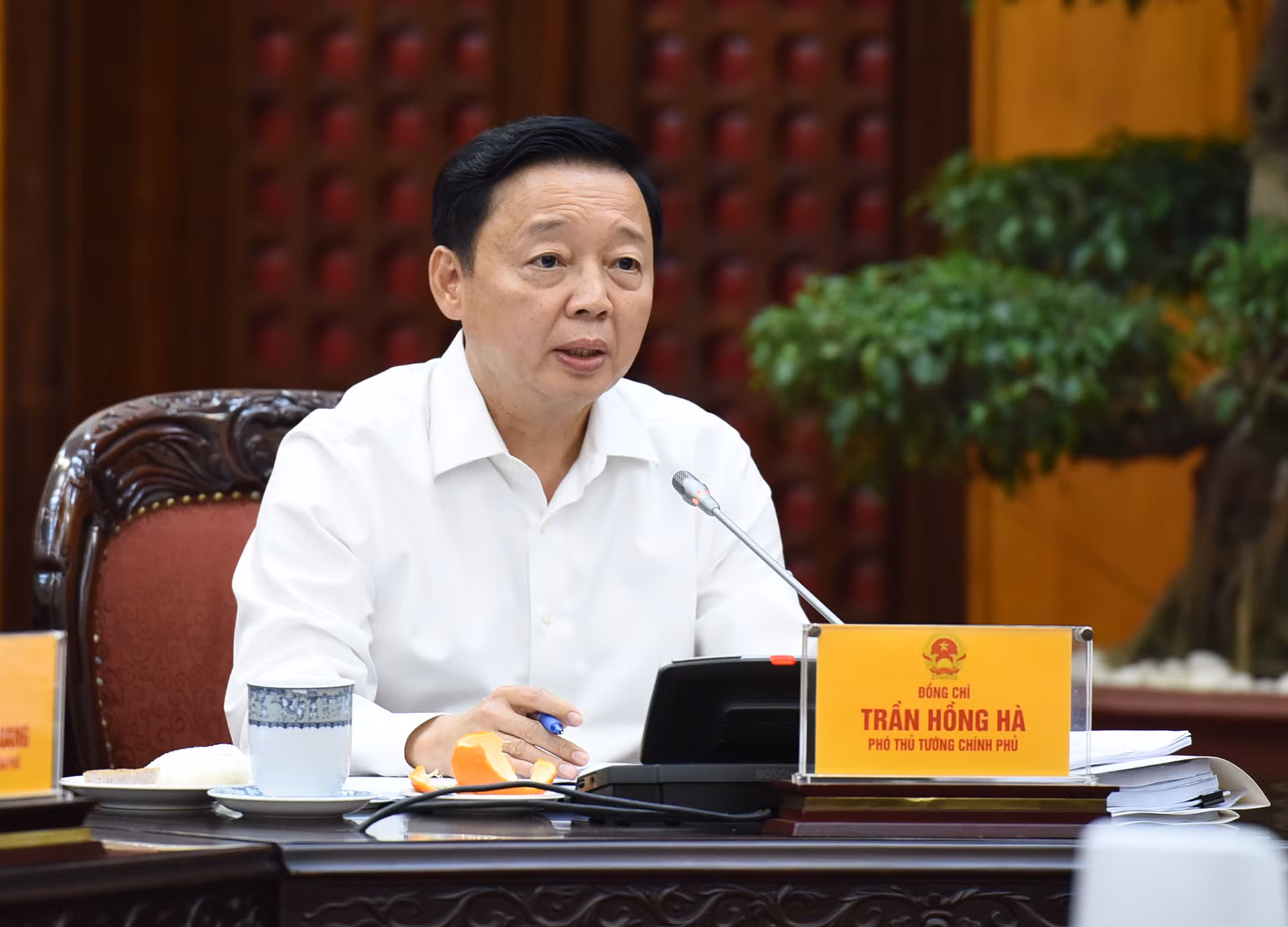 Phó Thủ tướng Trần Hồng Hà phát biểu tại cuộc họp.