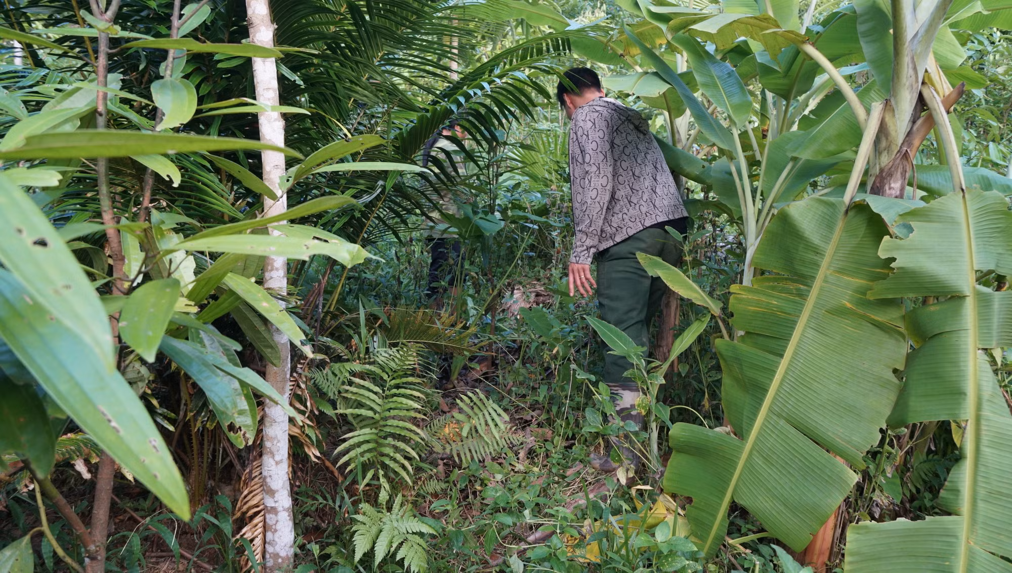 Người nhà ông Thanh kiểm tra vết nứt sâu 50cm, dài hàng chục mét trên sườn đồi sát nhà.