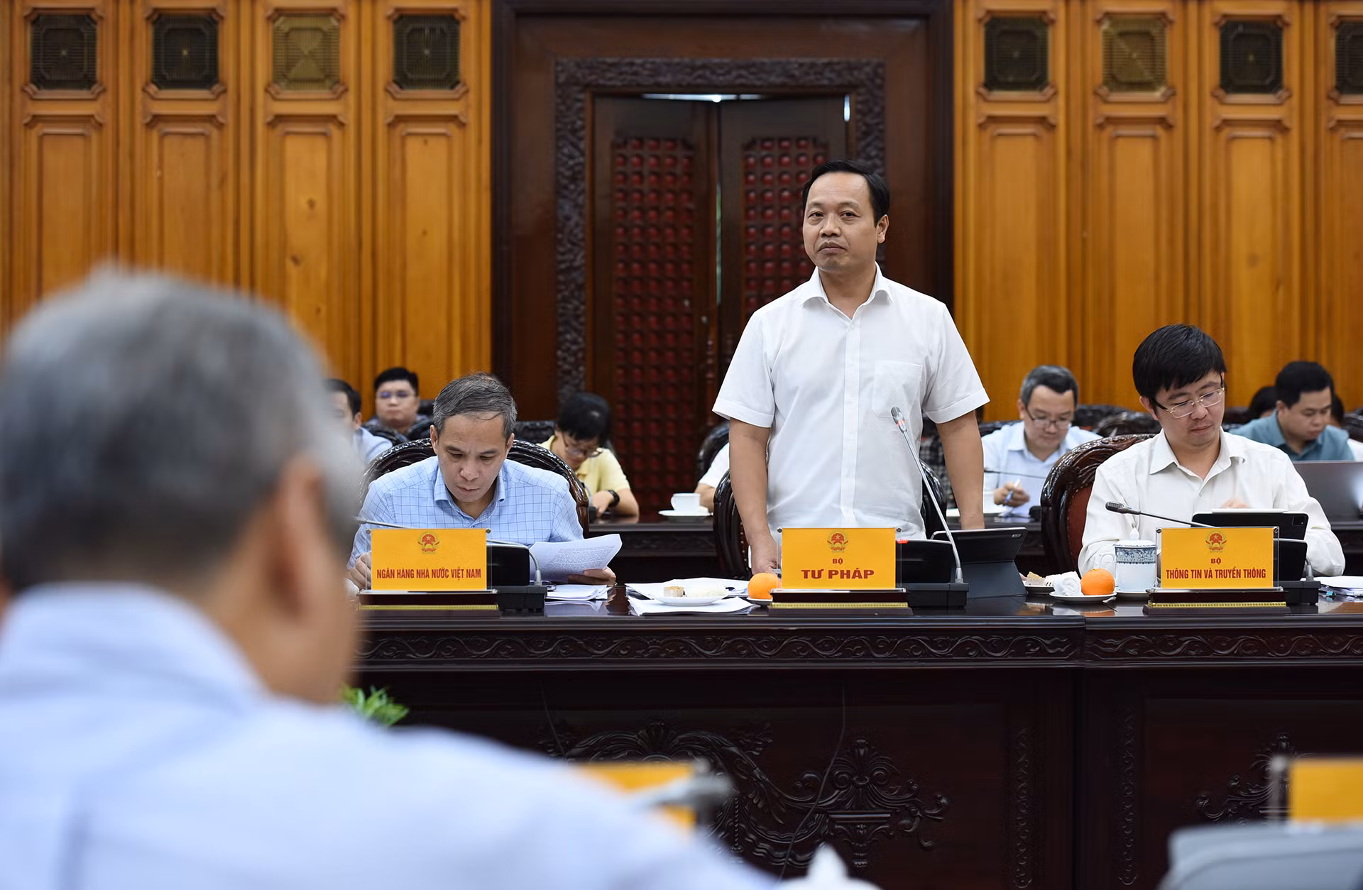 Thứ trưởng Tư pháp Trần Tiến Dũng phát biểu tại cuộc họp.