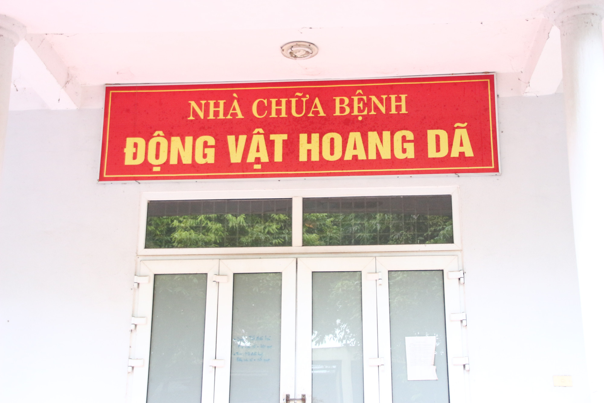Khu vực nhà chữa bệnh cho động vật hoang dã.