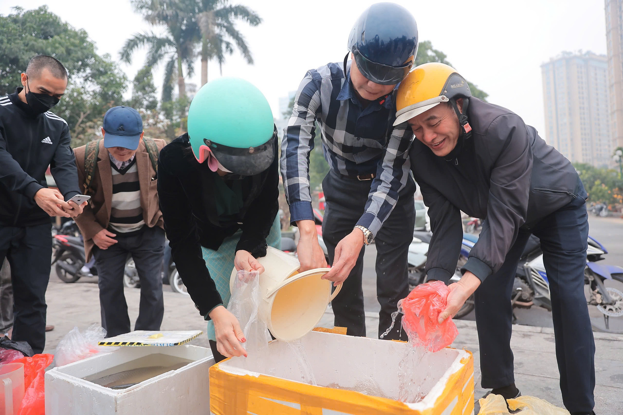 Đây là năm thứ hai, hoạt động thả cá "văn minh" chung quanh hồ Tây được tổ chức.