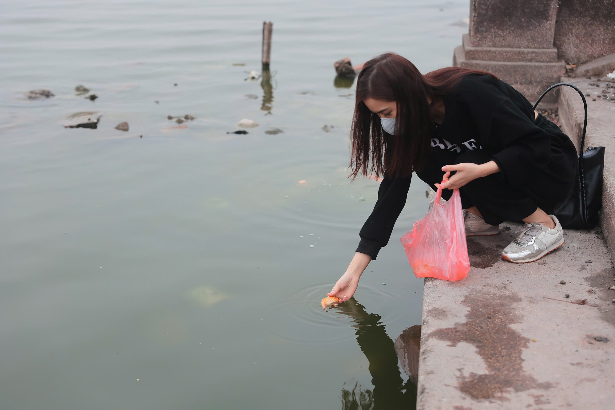 Mặc dù vậy, không ít người vẫn chọn thả cá vàng xuống hồ Tây.