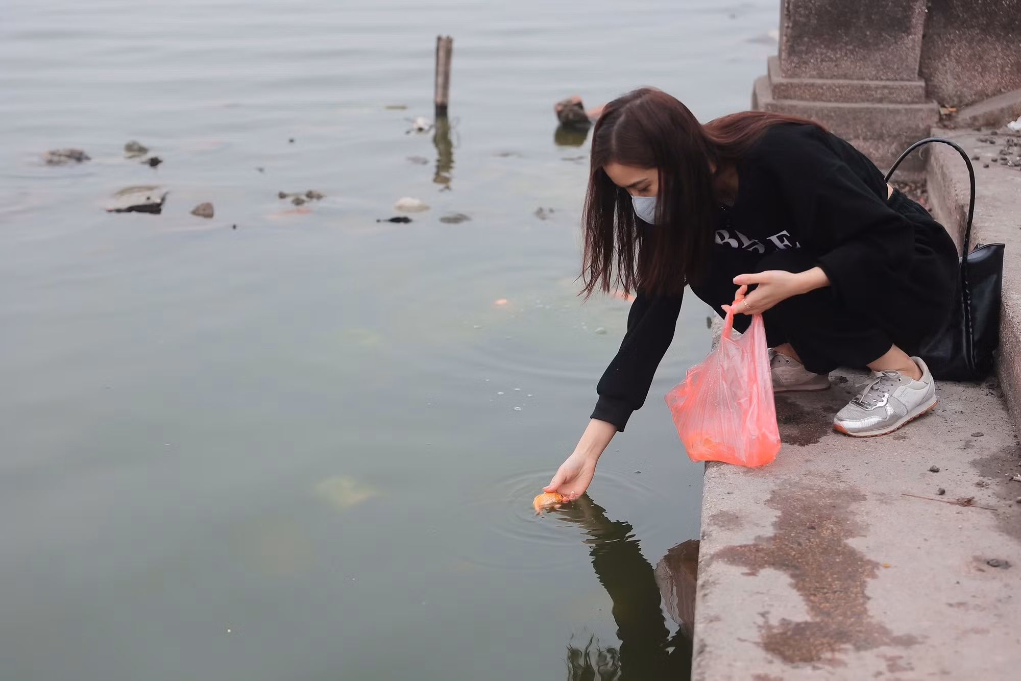 Mặc dù vậy, không ít người vẫn chọn thả cá vàng xuống hồ Tây.