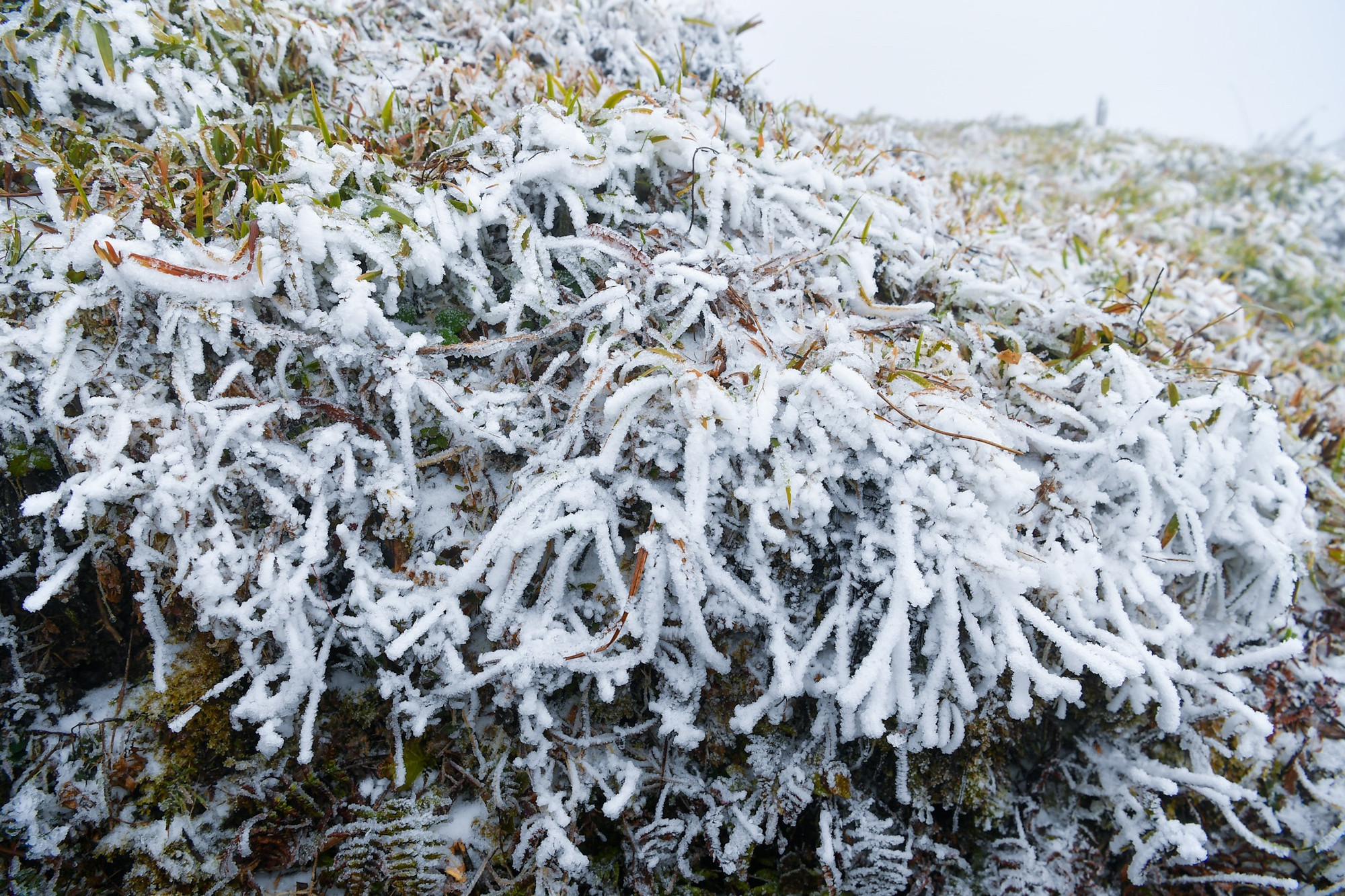 Khung cảnh siêu thực trên nóc nhà Đông Dương.