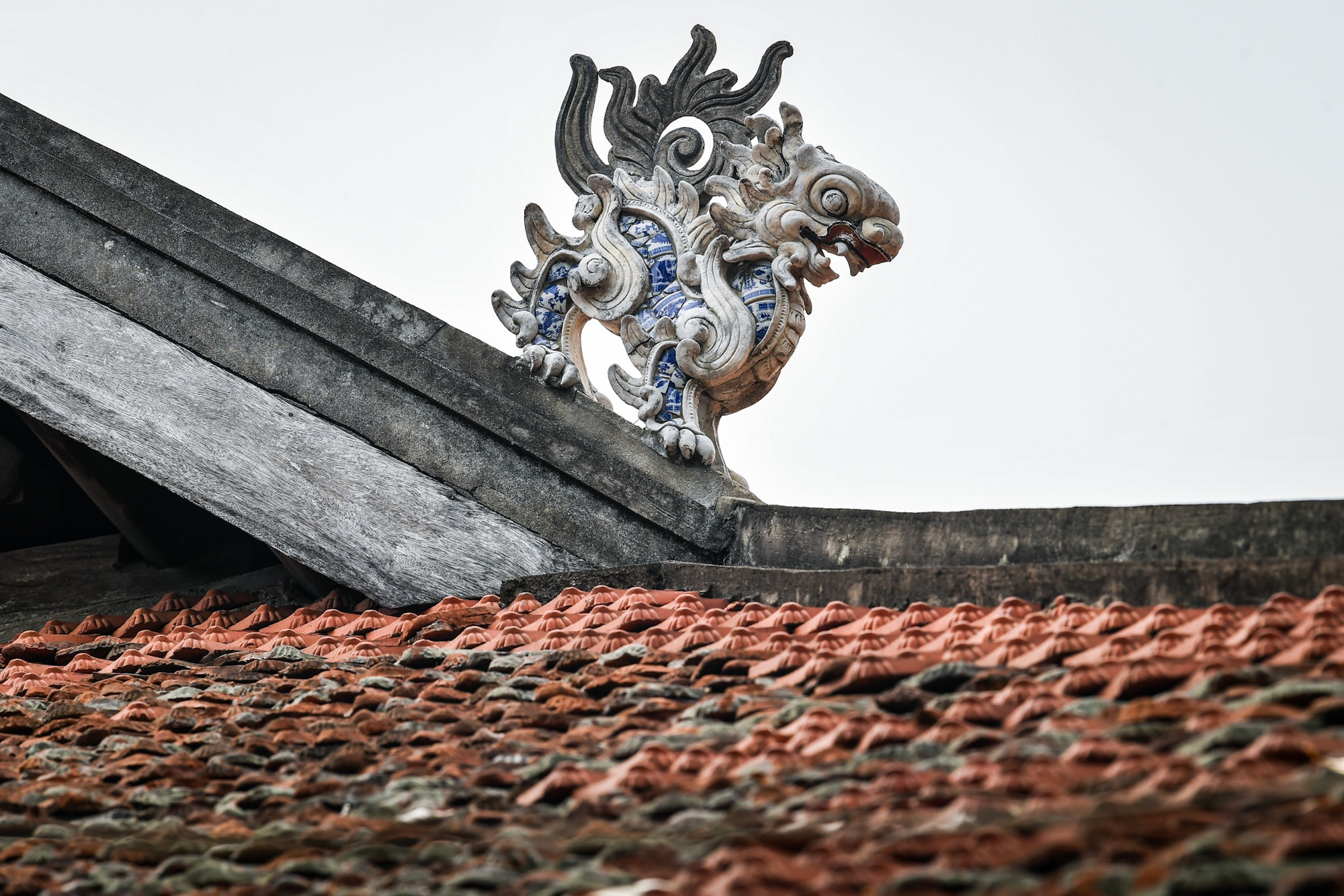 Ảnh: Thành Đạt. Ảnh: Thành Đạt.