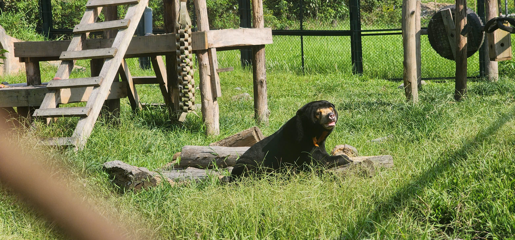 Hiện nay, Trung tâm Cứu hộ gấu Việt Nam có gần 30.000m2 không gian bán hoang dã ngoài trời được thiết kế và trang bị nhằm khuyến khích các hành vi tự nhiên của gấu.