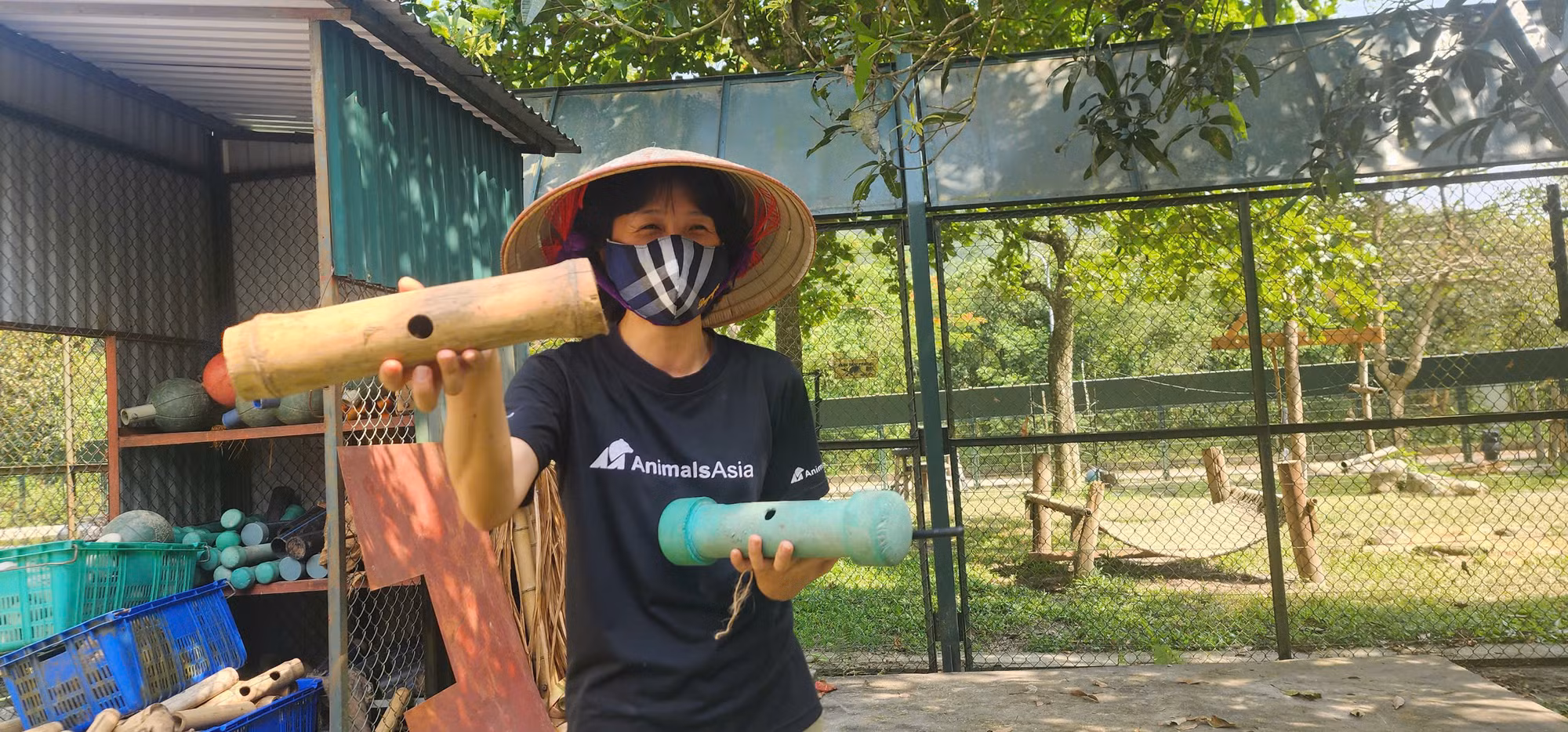 Đồ chơi cho... gấu tại Tam Đảo.