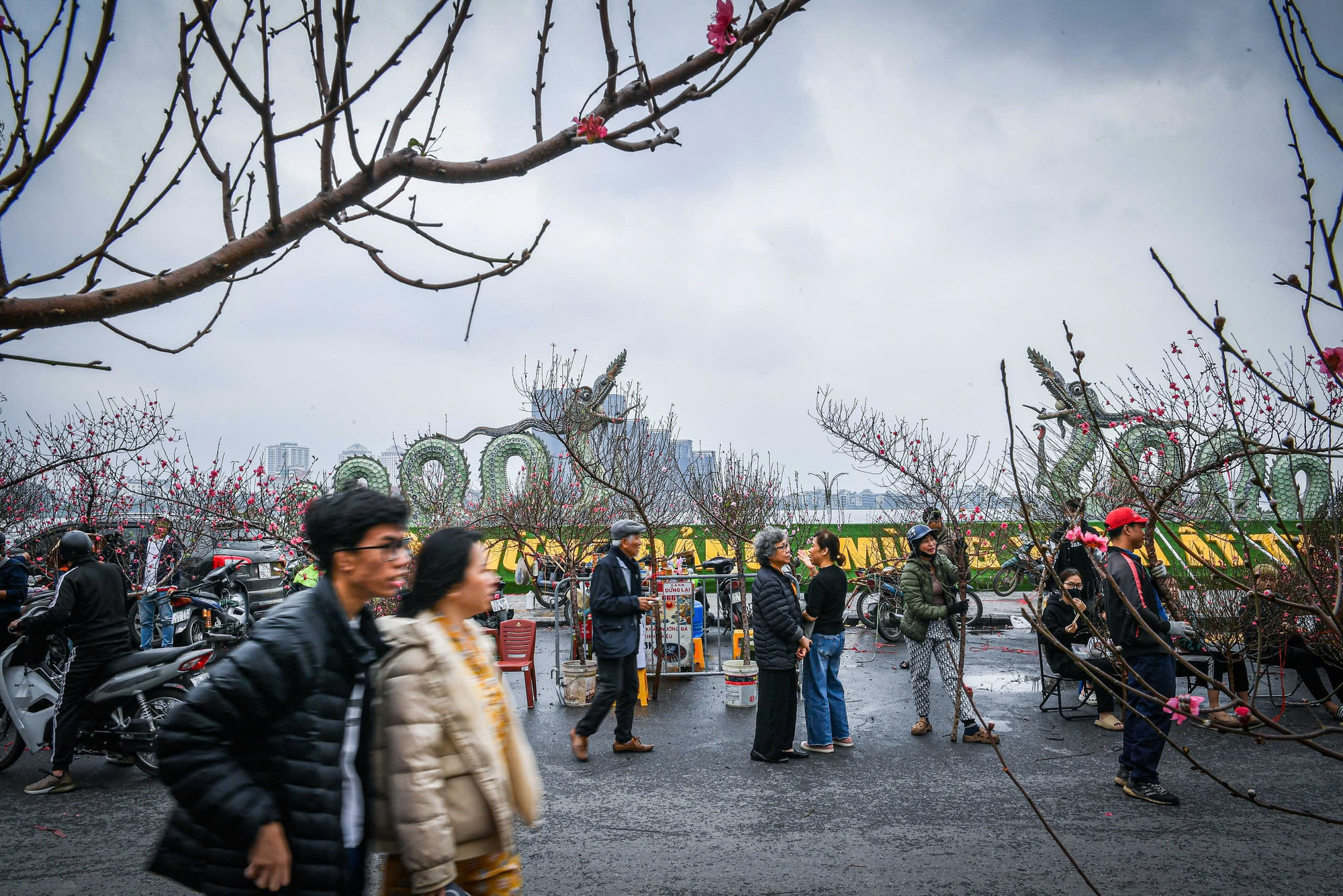 Tại chợ hoa ở ngã tư Lạc Long Quân-Nguyễn Hoàng Tôn, không khí mua bán cũng đã bắt đầu tấp nập. Đây là khu vực chủ yếu bán đào thế.