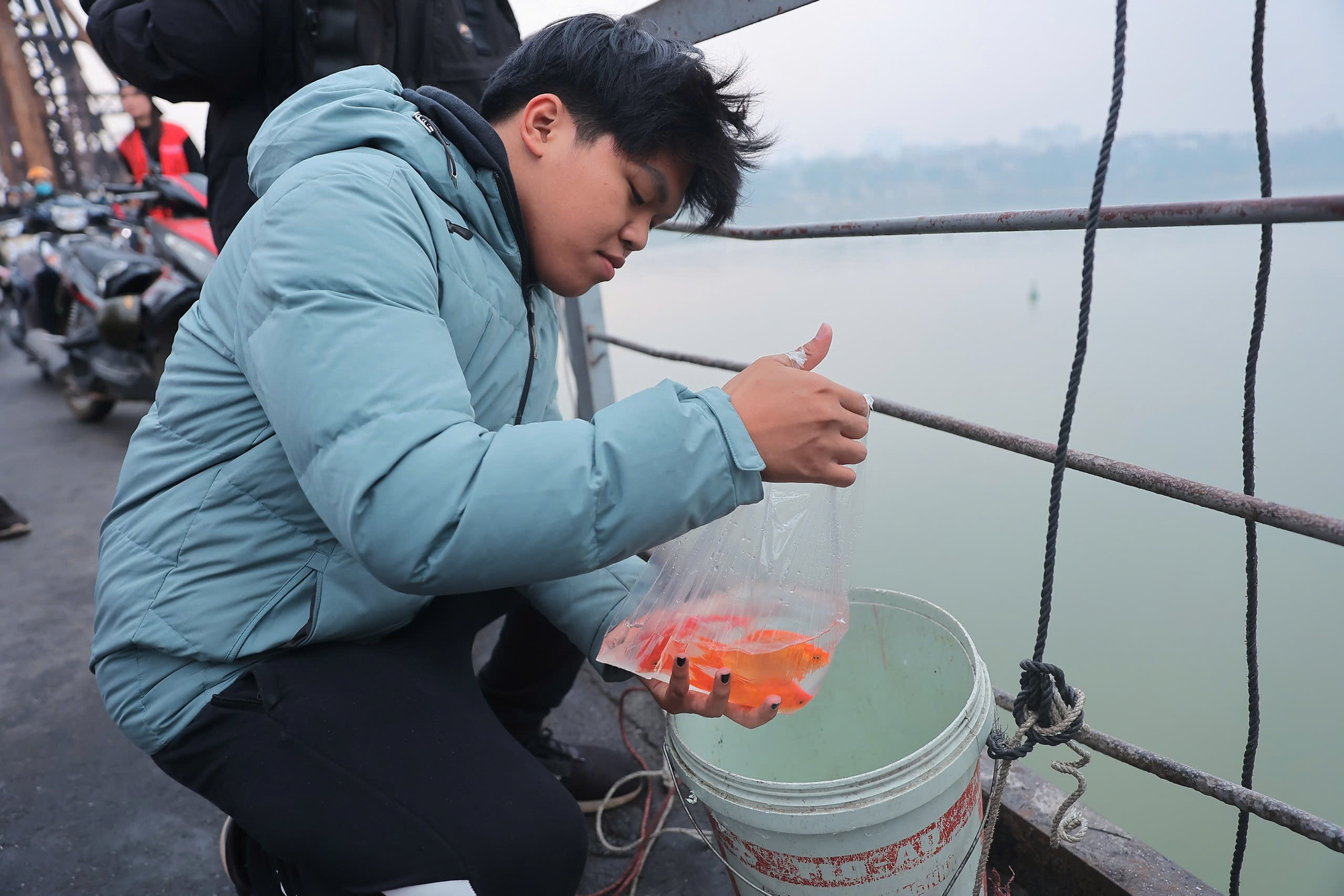 Tại đây, các tình nguyện viên đã bố trí xô nhựa có kèm theo dây tời dài để hỗ trợ mọi người thả cá xuống sông Hồng.