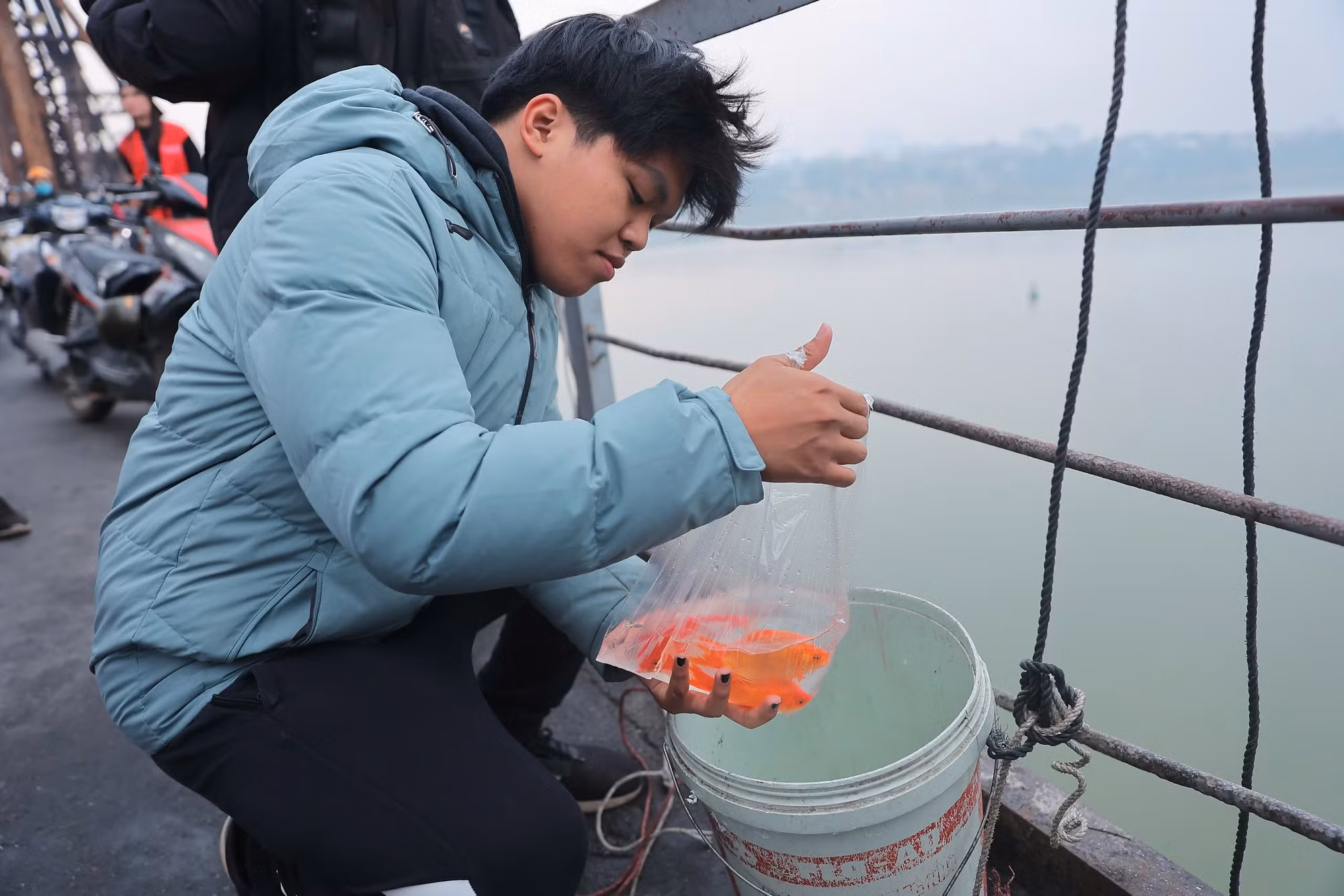 Tại đây, các tình nguyện viên đã bố trí xô nhựa có kèm theo dây tời dài để hỗ trợ mọi người thả cá xuống sông Hồng.