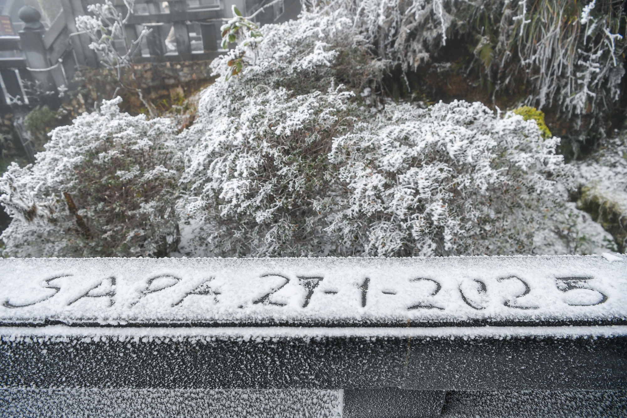 Tuyết tạo nên một lớp trắng xóa trên cây cối và các công trình trên khu vực đỉnh.