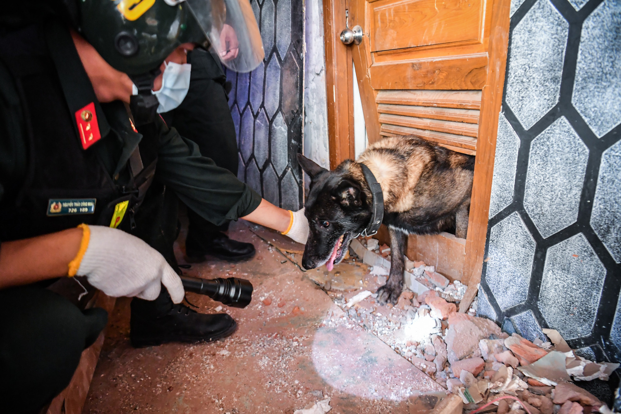 Nhờ "đội quân đặc biệt này", đoàn Việt Nam có thể xác định chính xác vị trí người mắc kẹt.