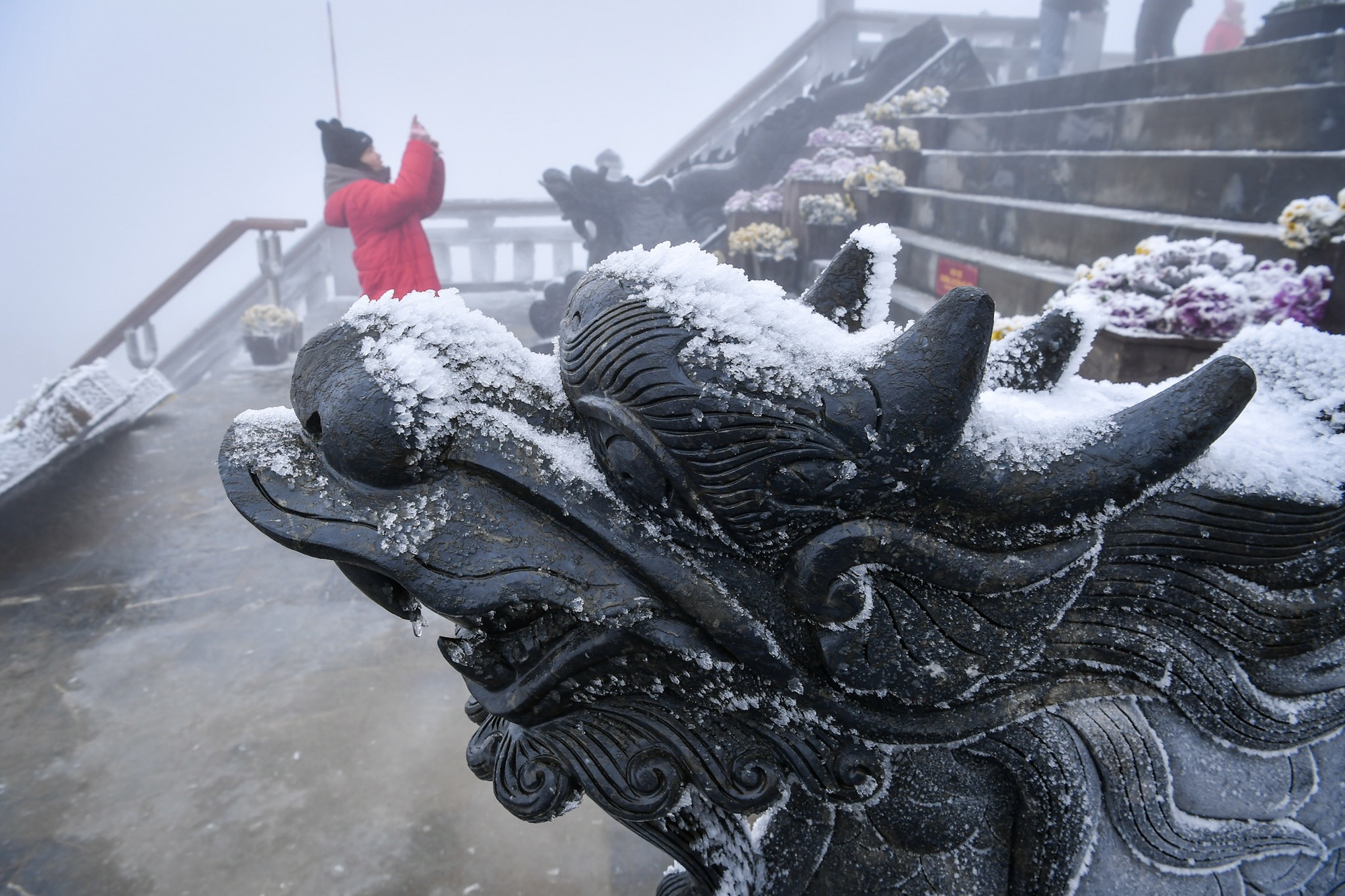 Sự kiện kỳ thú này đã thu hút sự quan tâm của rất nhiều nhiếp ảnh gia.