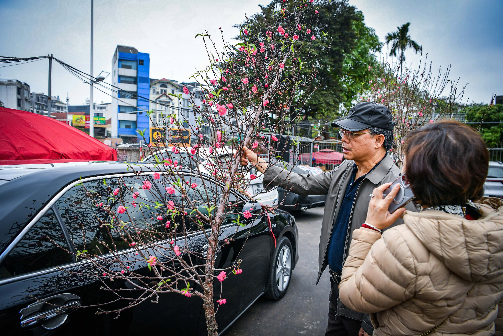 Một vị khách lựa chọn được một cành đào dáng huyền ưng ý tại chợ hoa Quảng Bá.