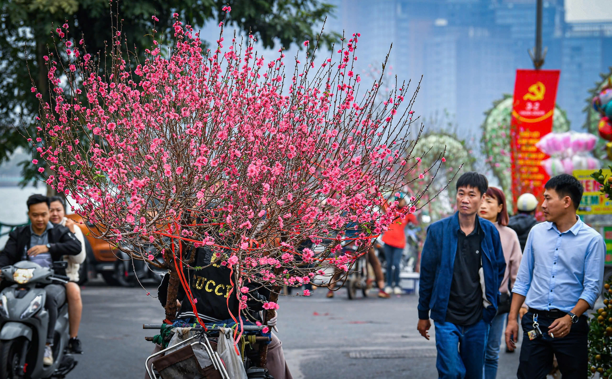 So với chợ hoa Quảng Bá, giá cây cảnh tại đây cũng thấp hơn đôi chút.