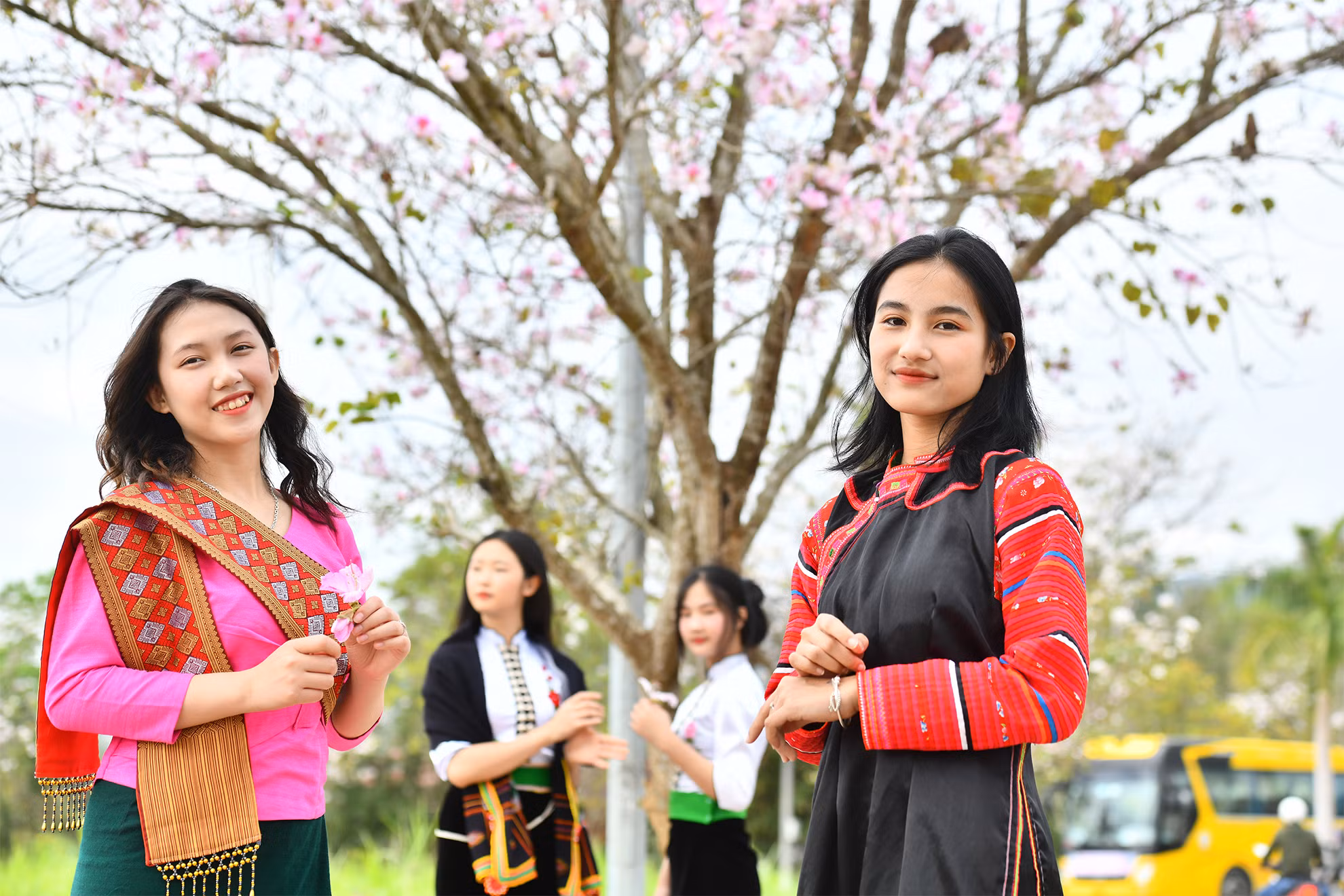 Khoe sắc cùng mùa xuân của núi rừng.