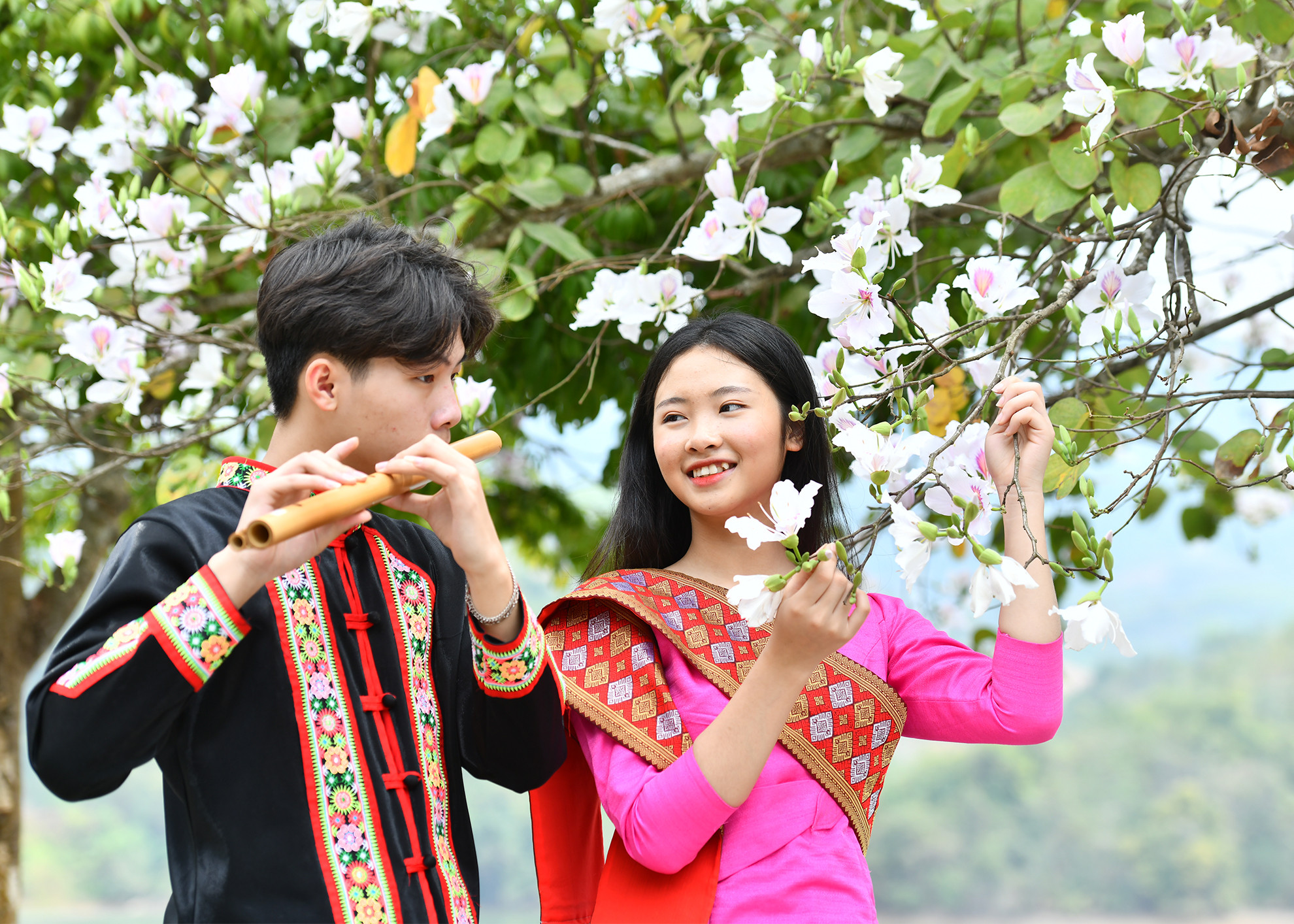 Hình ảnh hoa ban hiện diện trong đời sống sinh hoạt, trên váy áo, điệu nhạc trao duyên và lời ca tiếng hát của người dân Tây Bắc. Hình ảnh hoa ban hiện diện trong đời sống sinh hoạt, trên váy áo, điệu nhạc trao duyên và lời ca tiếng hát của người dân Tây Bắc.