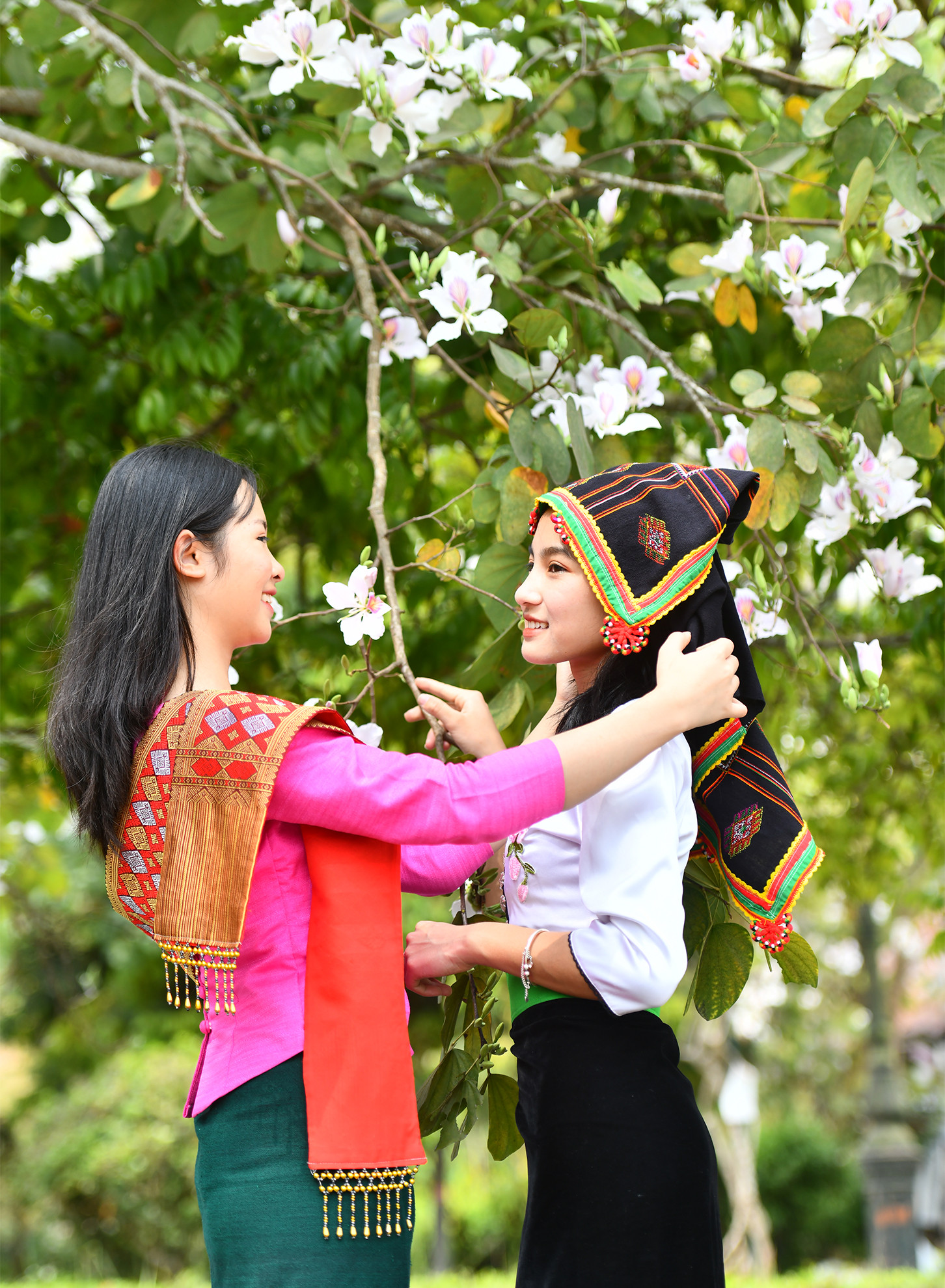 Tháng ba mùa hoa ban, cả đất trời Tây Bắc bỗng sáng bừng, rạng rỡ. Tháng ba mùa hoa ban, cả đất trời Tây Bắc bỗng sáng bừng, rạng rỡ.