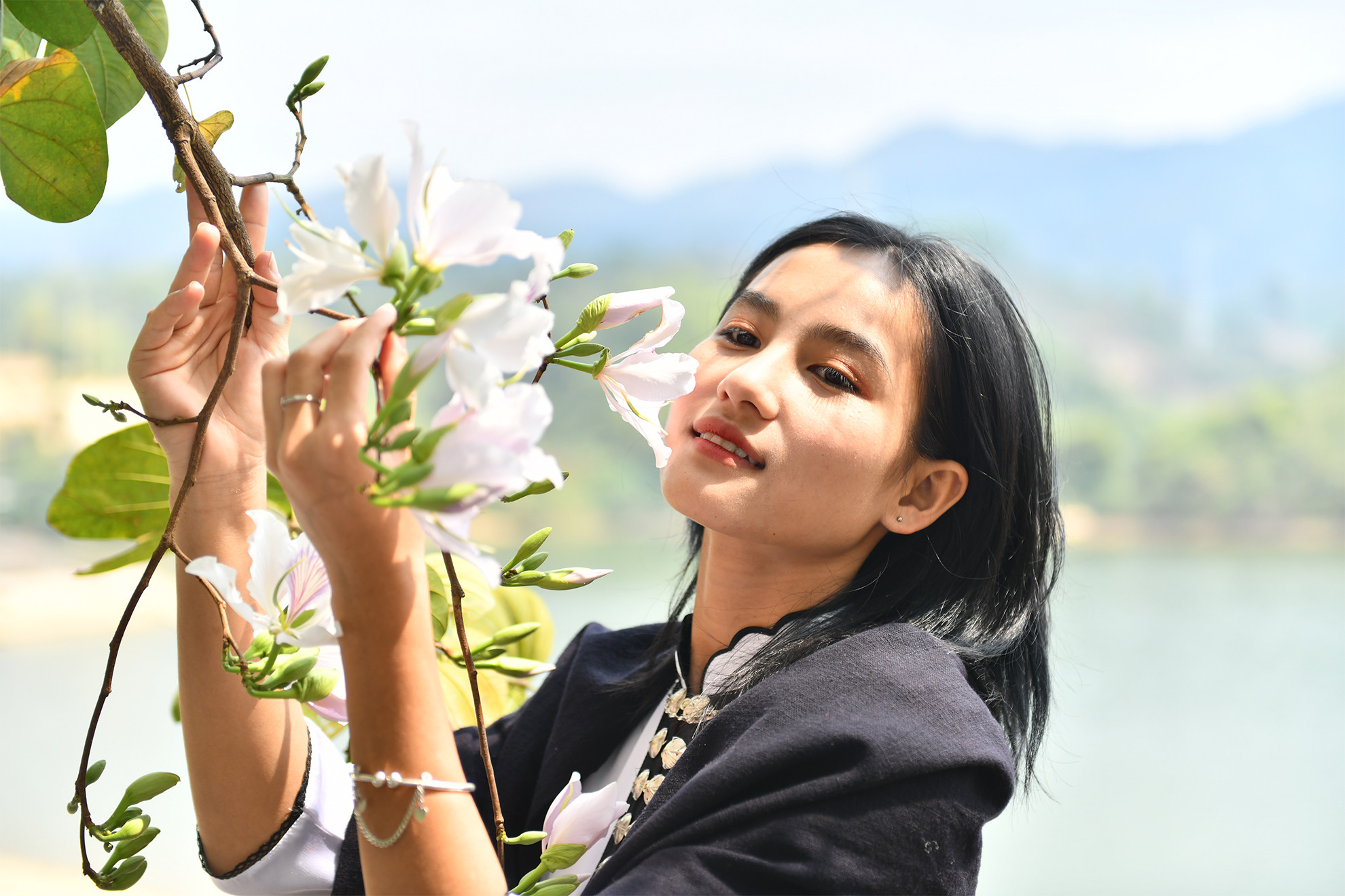 Khoe sắc cùng hoa ban. Khoe sắc cùng hoa ban.