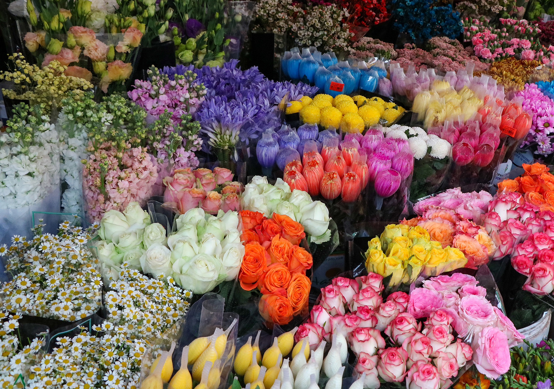 [Ảnh] Chợ hoa Quảng An ngập tràn sắc màu dịp 8/3 ảnh 1