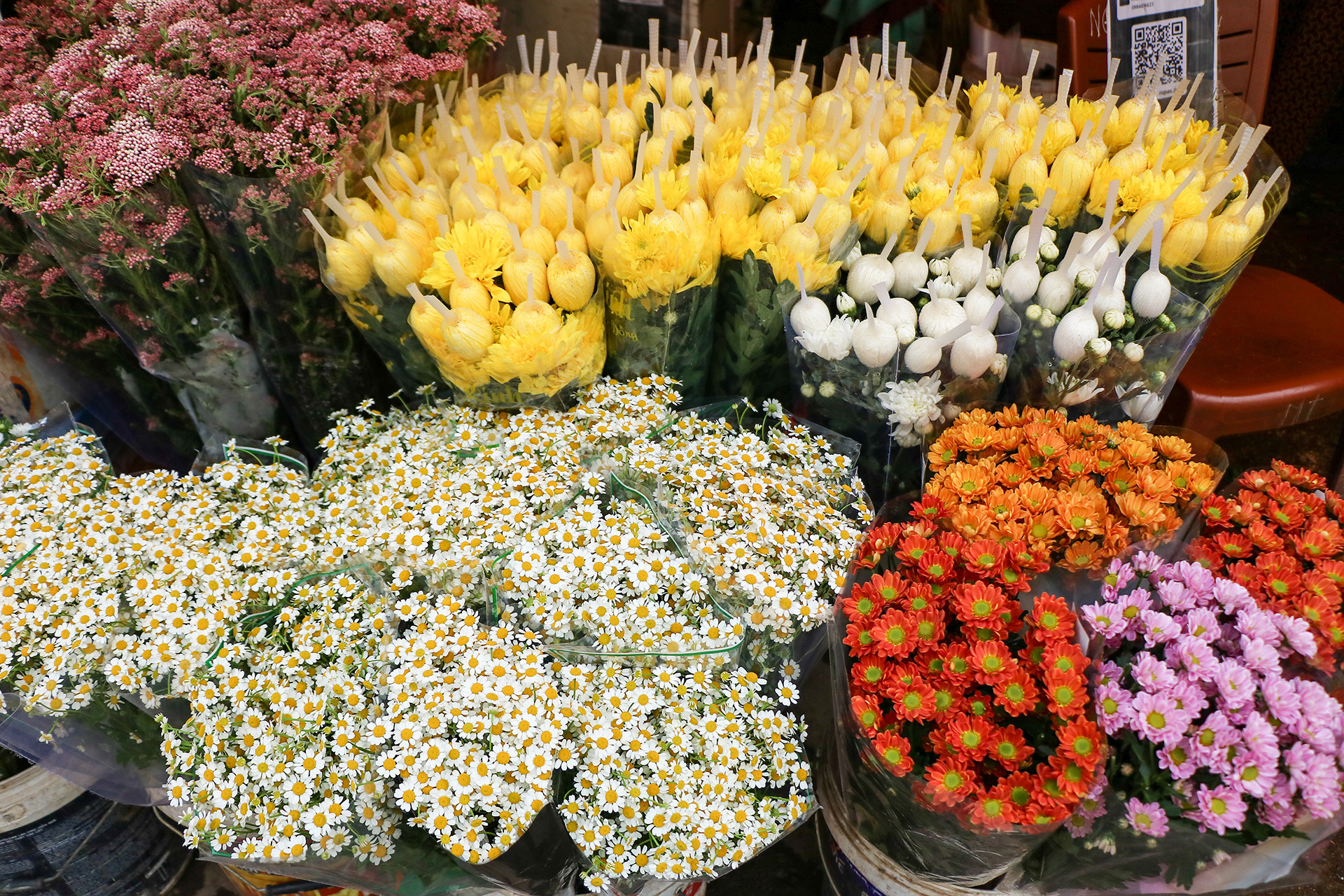 [Ảnh] Chợ hoa Quảng An ngập tràn sắc màu dịp 8/3 ảnh 10