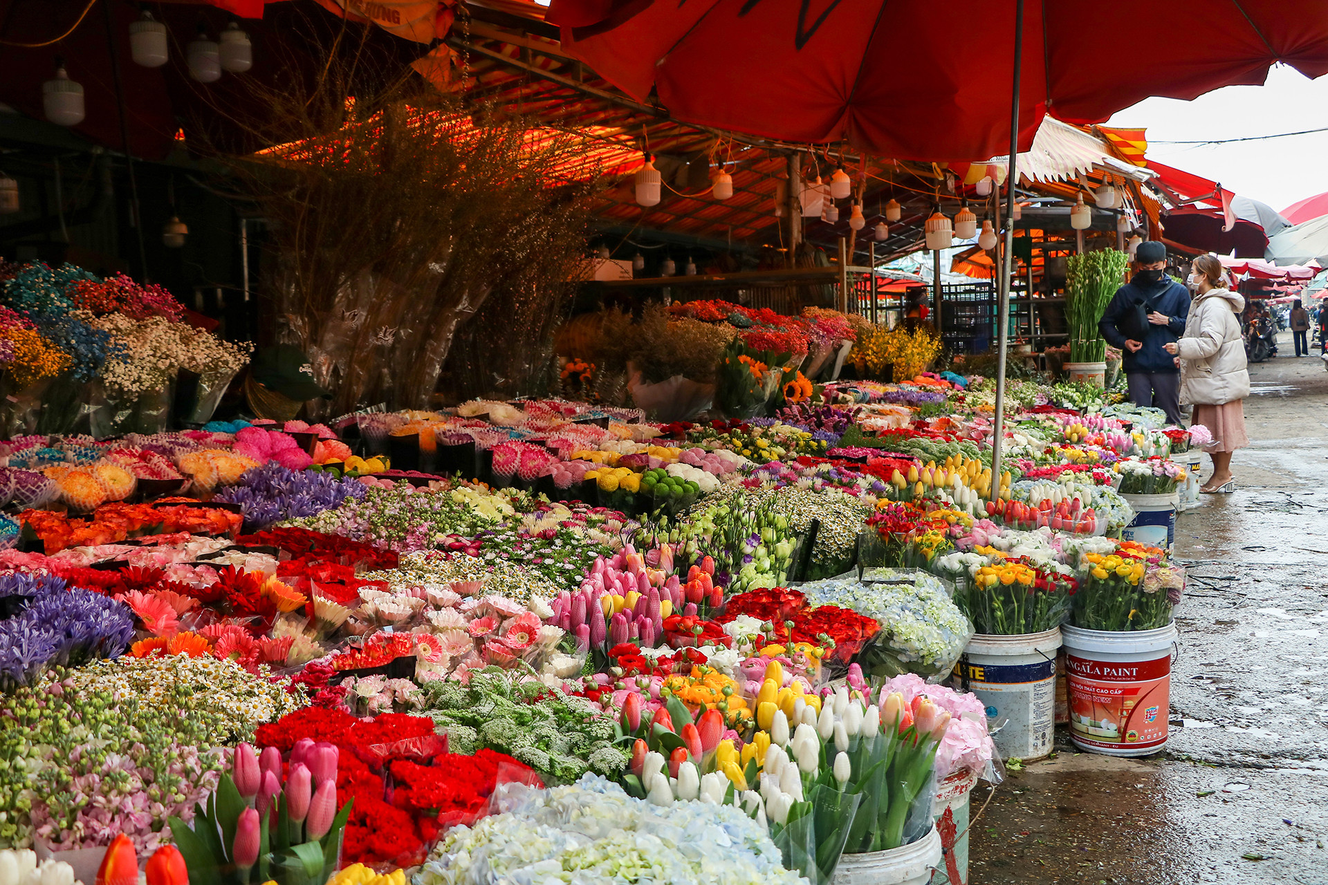 [Ảnh] Chợ hoa Quảng An ngập tràn sắc màu dịp 8/3 ảnh 3