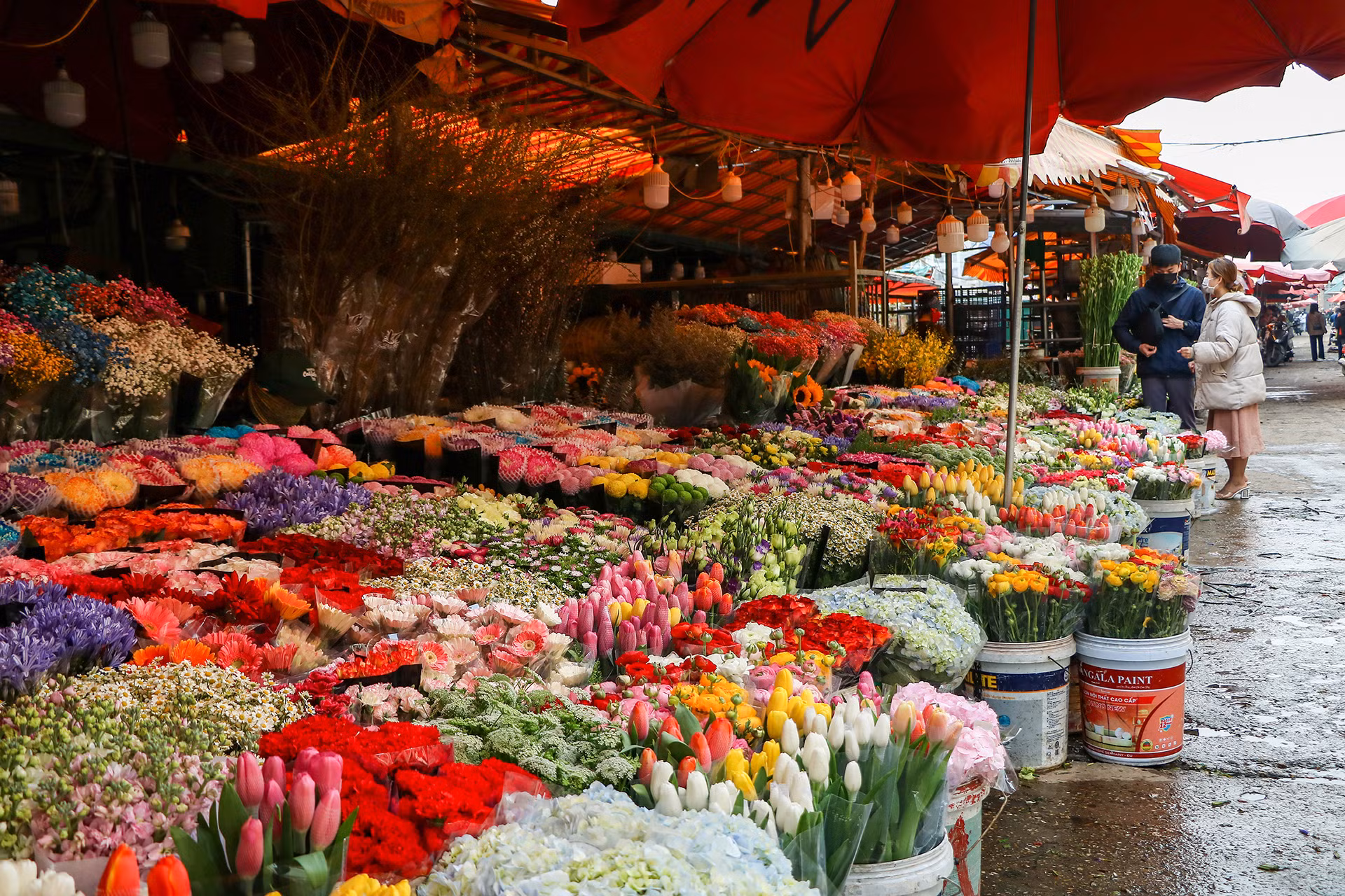 [Ảnh] Chợ hoa Quảng An ngập tràn sắc màu dịp 8/3 ảnh 3