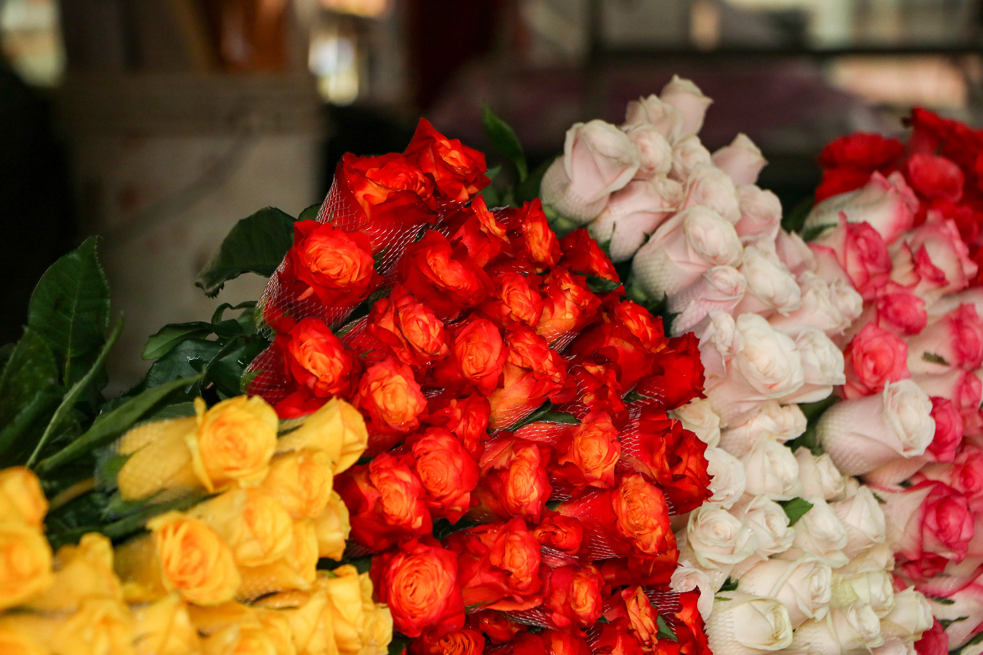 [Ảnh] Chợ hoa Quảng An ngập tràn sắc màu dịp 8/3 ảnh 4