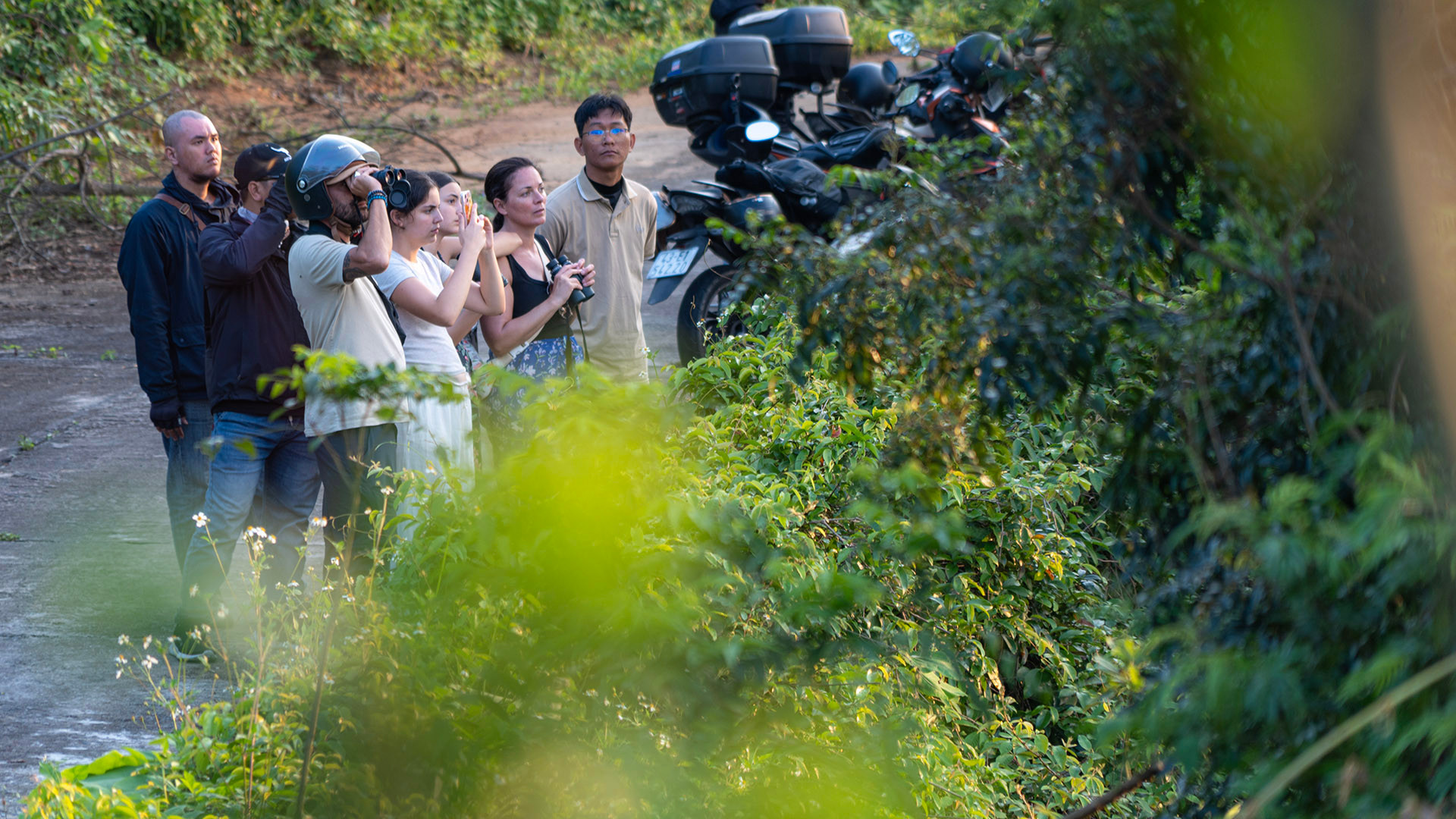 Voọc chà vá chân nâu: Nét chấm phá của thiên nhiên trên bán đảo xanh ảnh 8