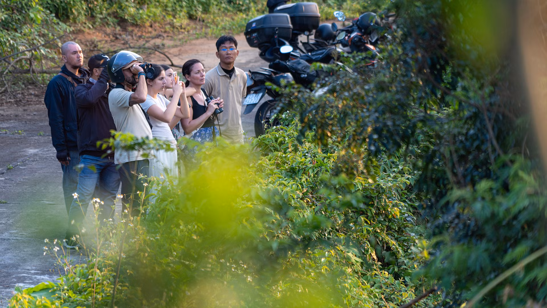 Voọc chà vá chân nâu: Nét chấm phá của thiên nhiên trên bán đảo xanh ảnh 8