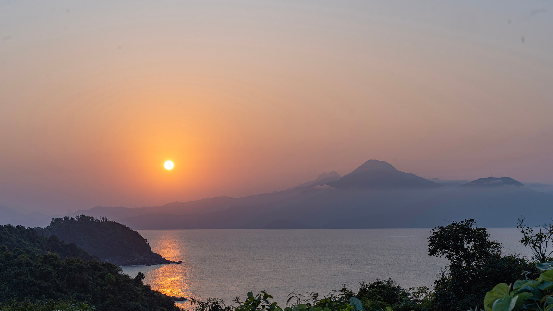 Voọc chà vá chân nâu: Nét chấm phá của thiên nhiên trên bán đảo xanh ảnh 1