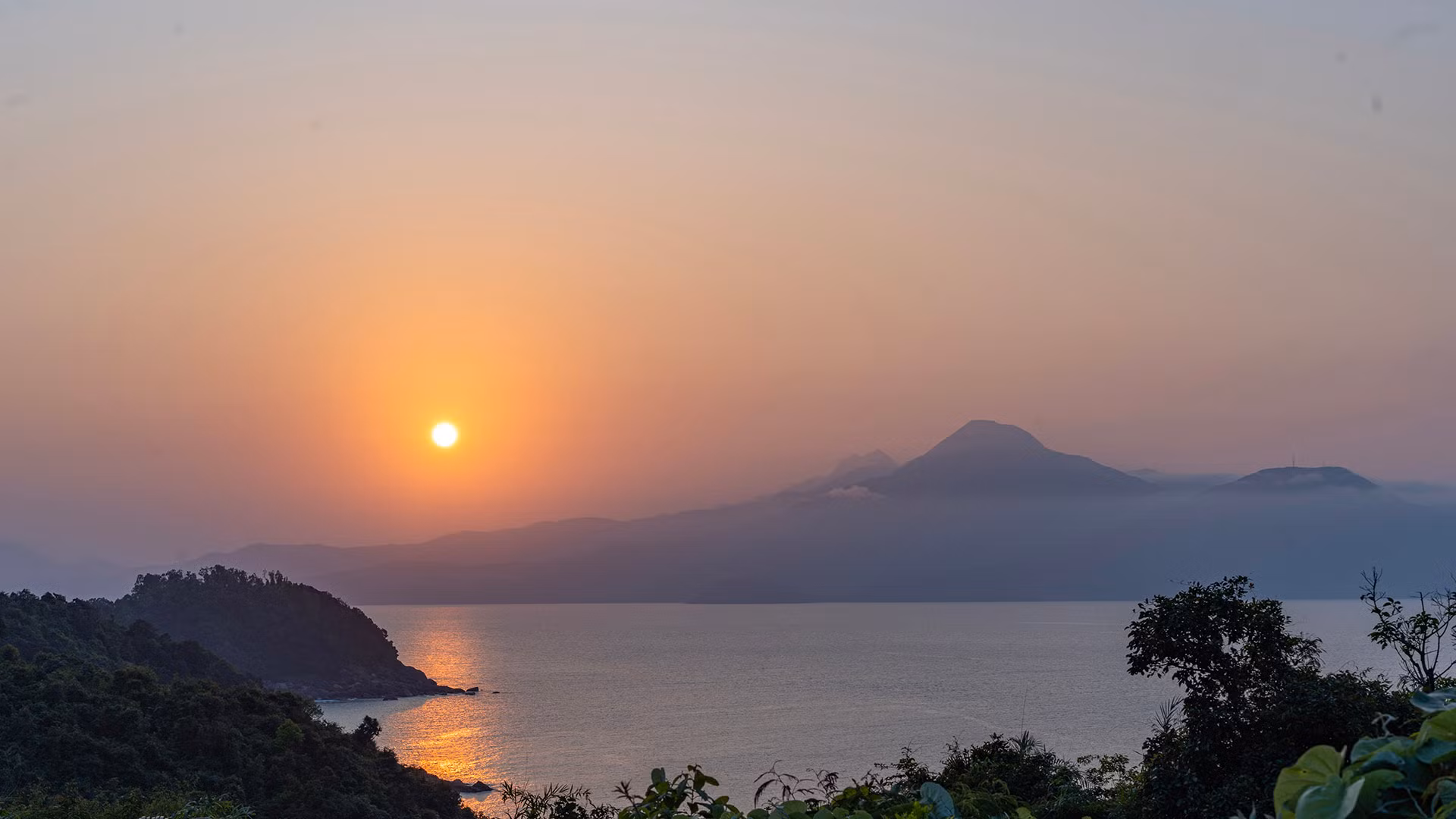 Voọc chà vá chân nâu: Nét chấm phá của thiên nhiên trên bán đảo xanh ảnh 1