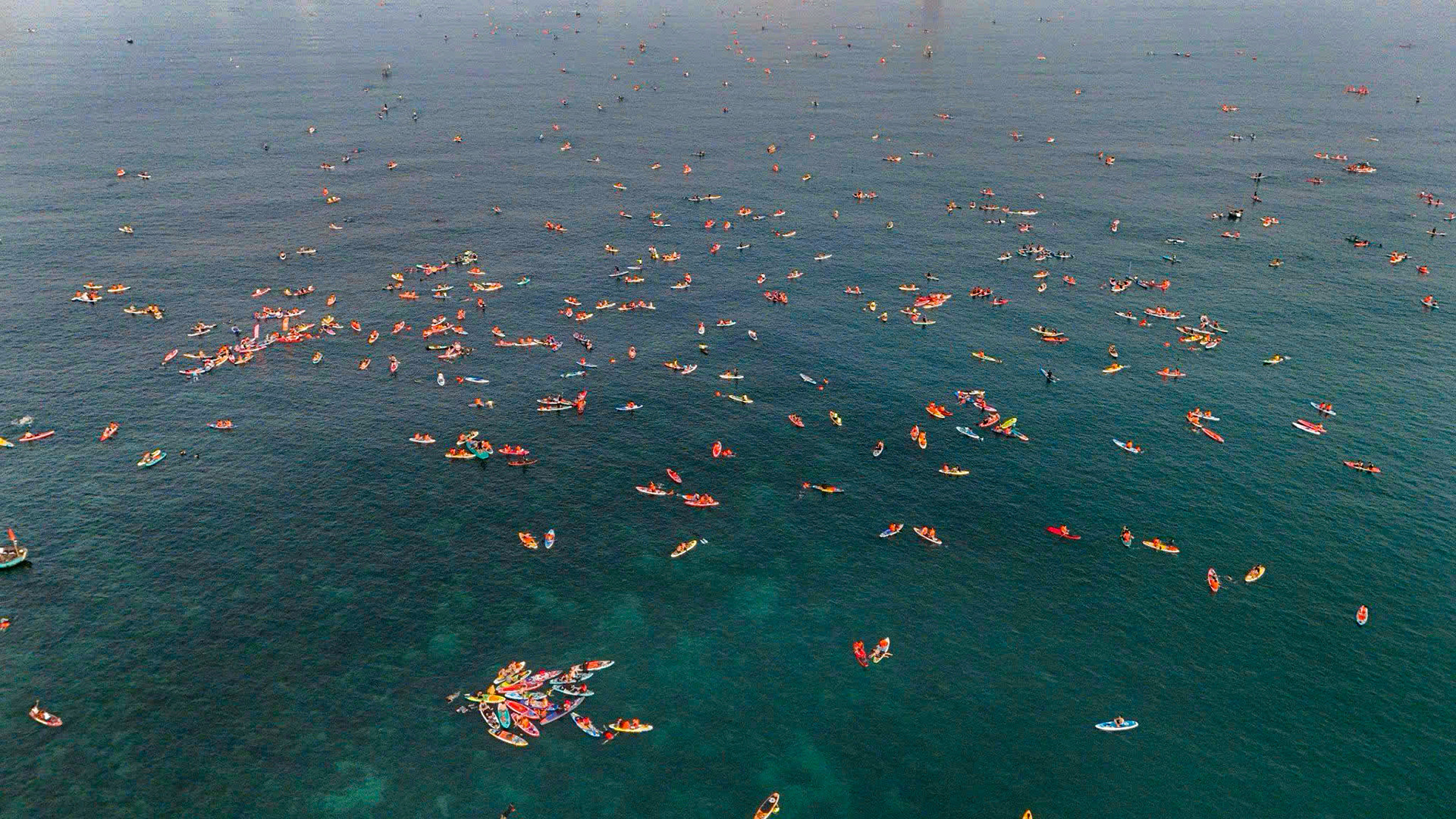 Mặt biển phủ đầy những tấm ván đủ màu sắc.